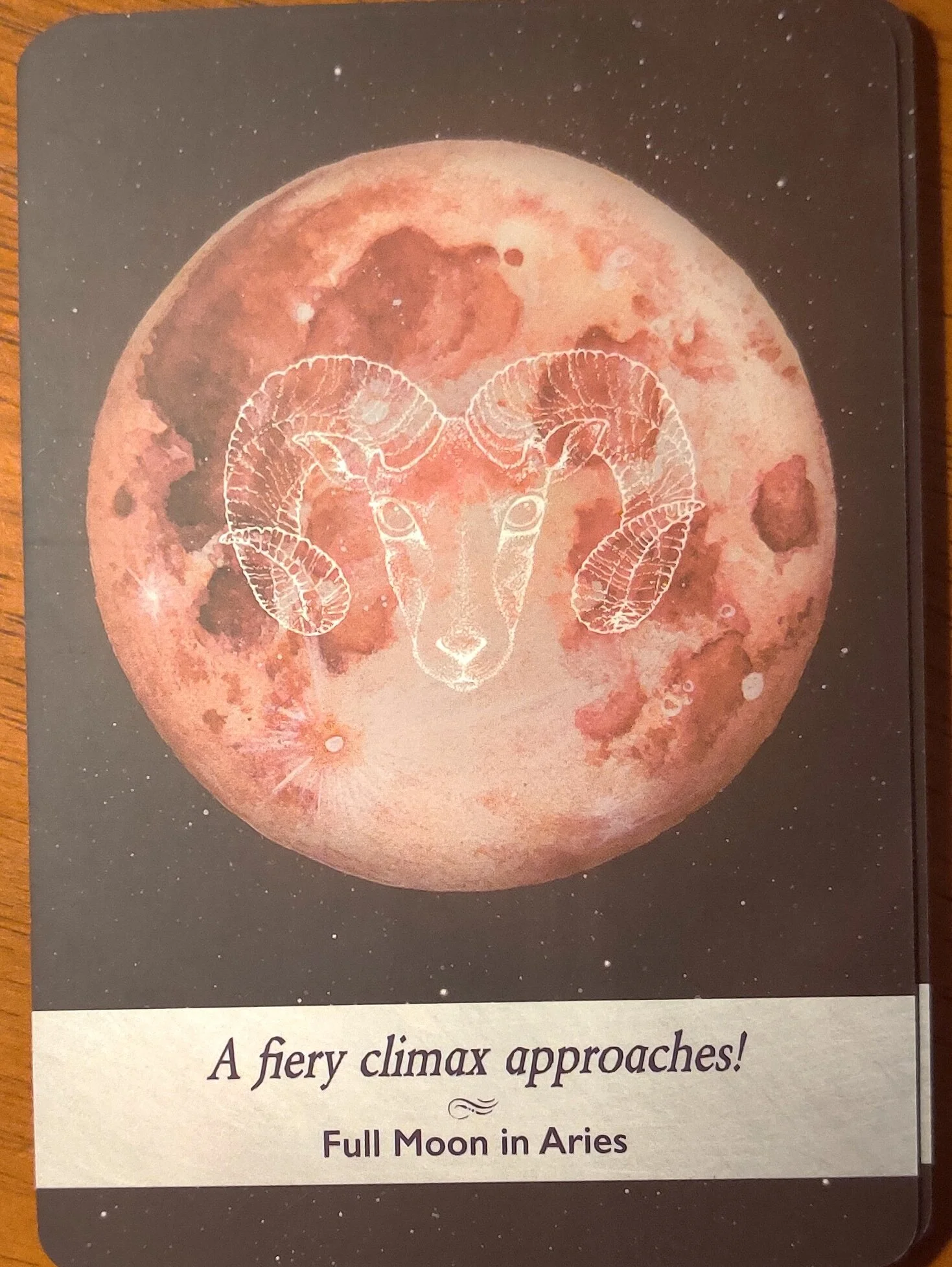 Full Moon Aires - Card Reading Medium Katherine.jpg