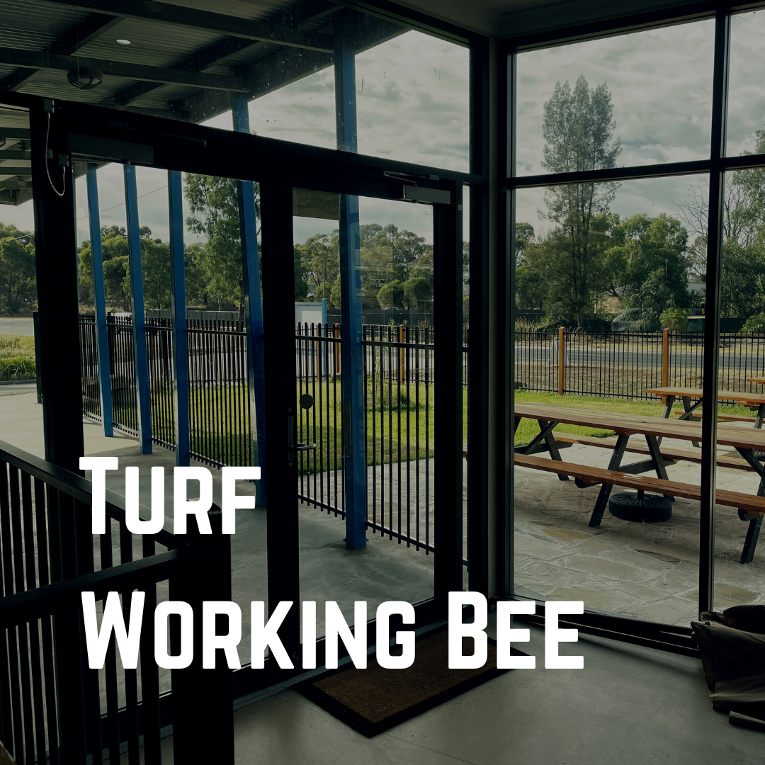 Turf Working Bee
