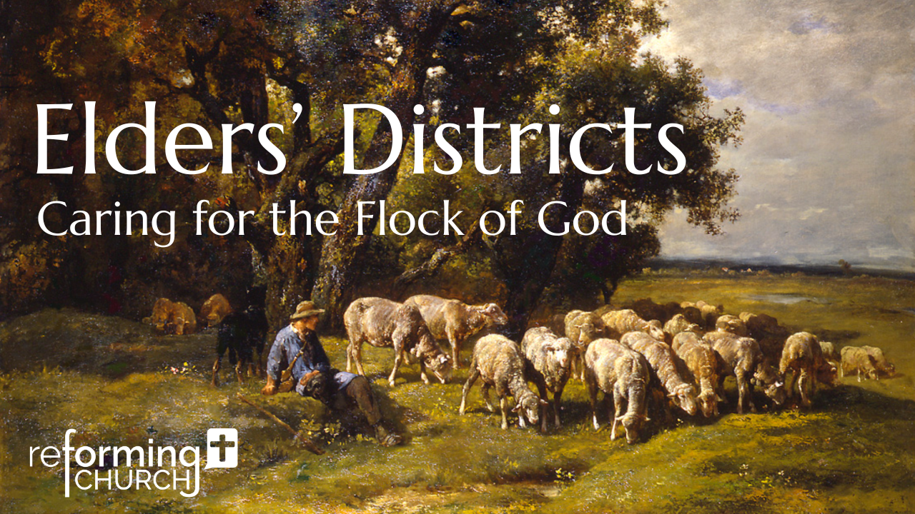The Why and How of Elders' Districts