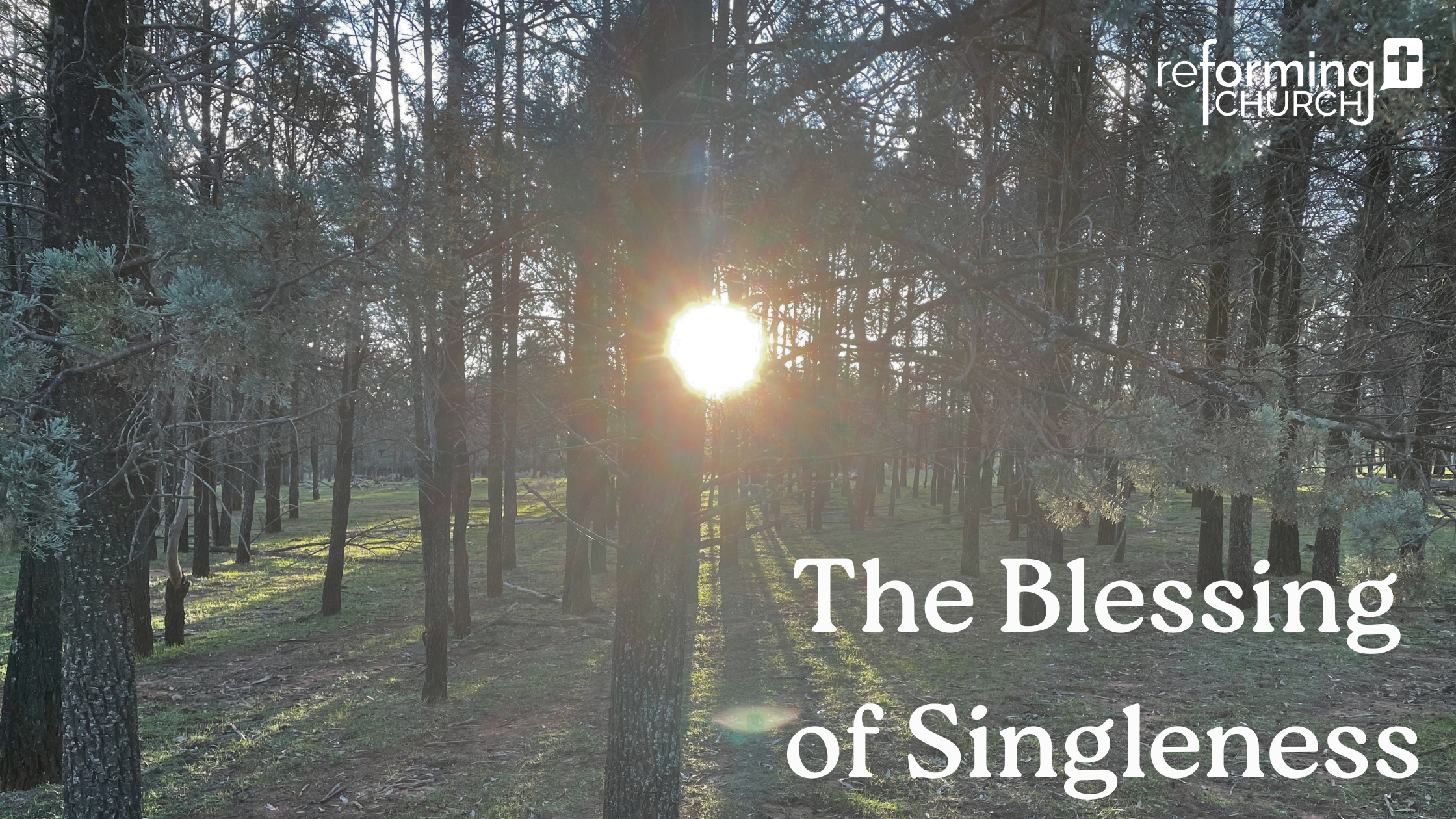 What is the Blessing of Singleness?
