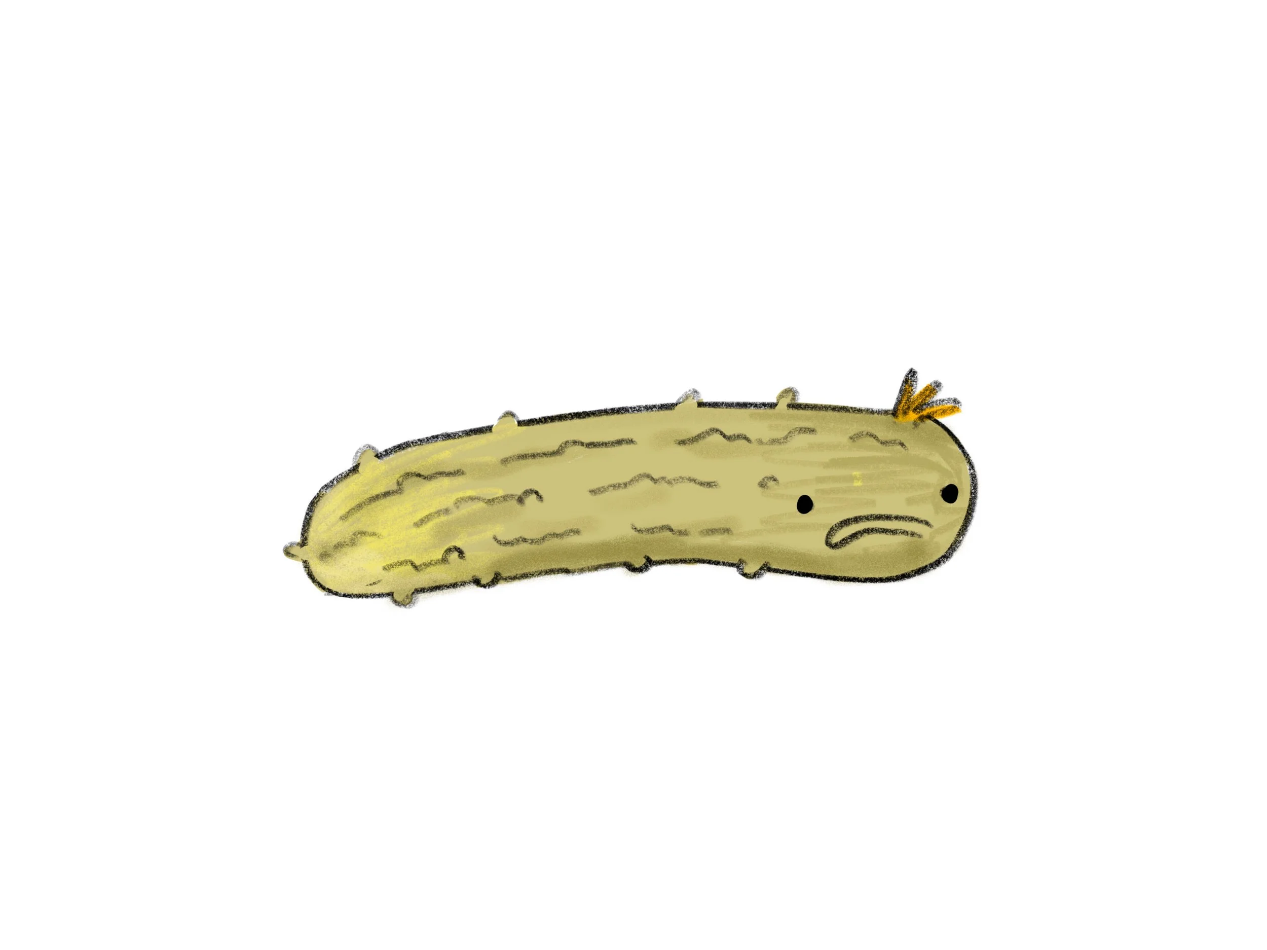 Sea Cucumber Vs. Decomposition: The Ultimate Showdown - qu76i0a