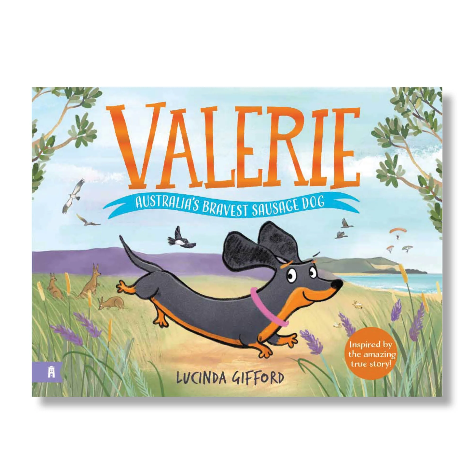 Valerie - Australia's Bravest Sausage Dog