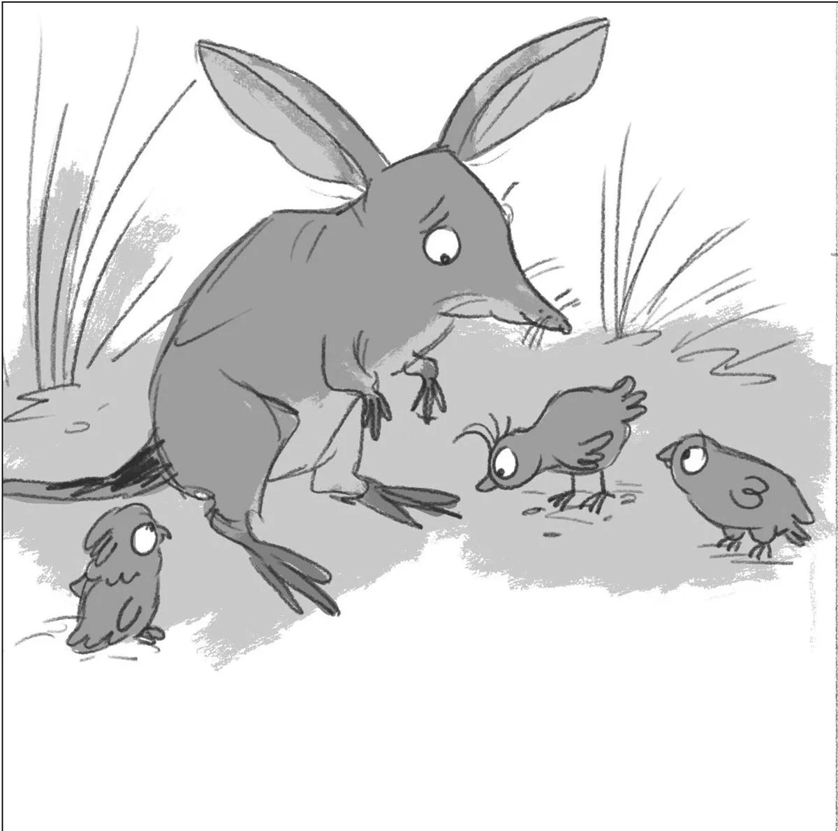 Are you the Easter Bunny? - storyboard image of bilby and native birds