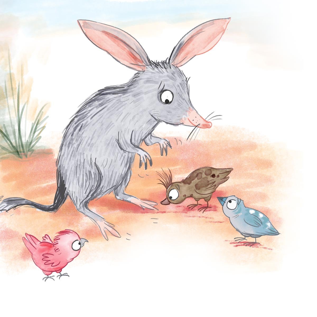 Are you the Easter Bunny? - rough image of bilby and native birds