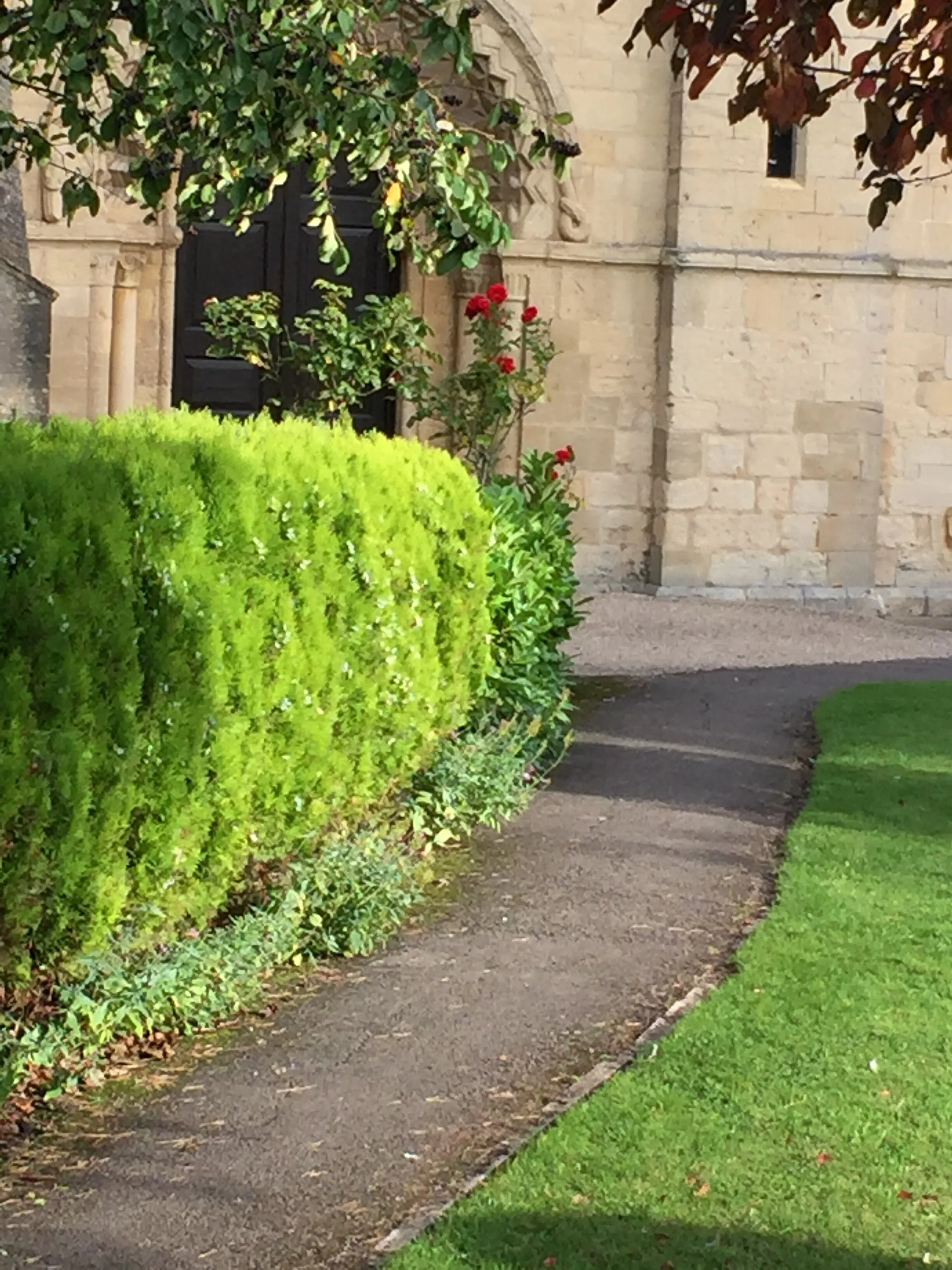 That Fleeting Thought ~ A Mere Heartbeat