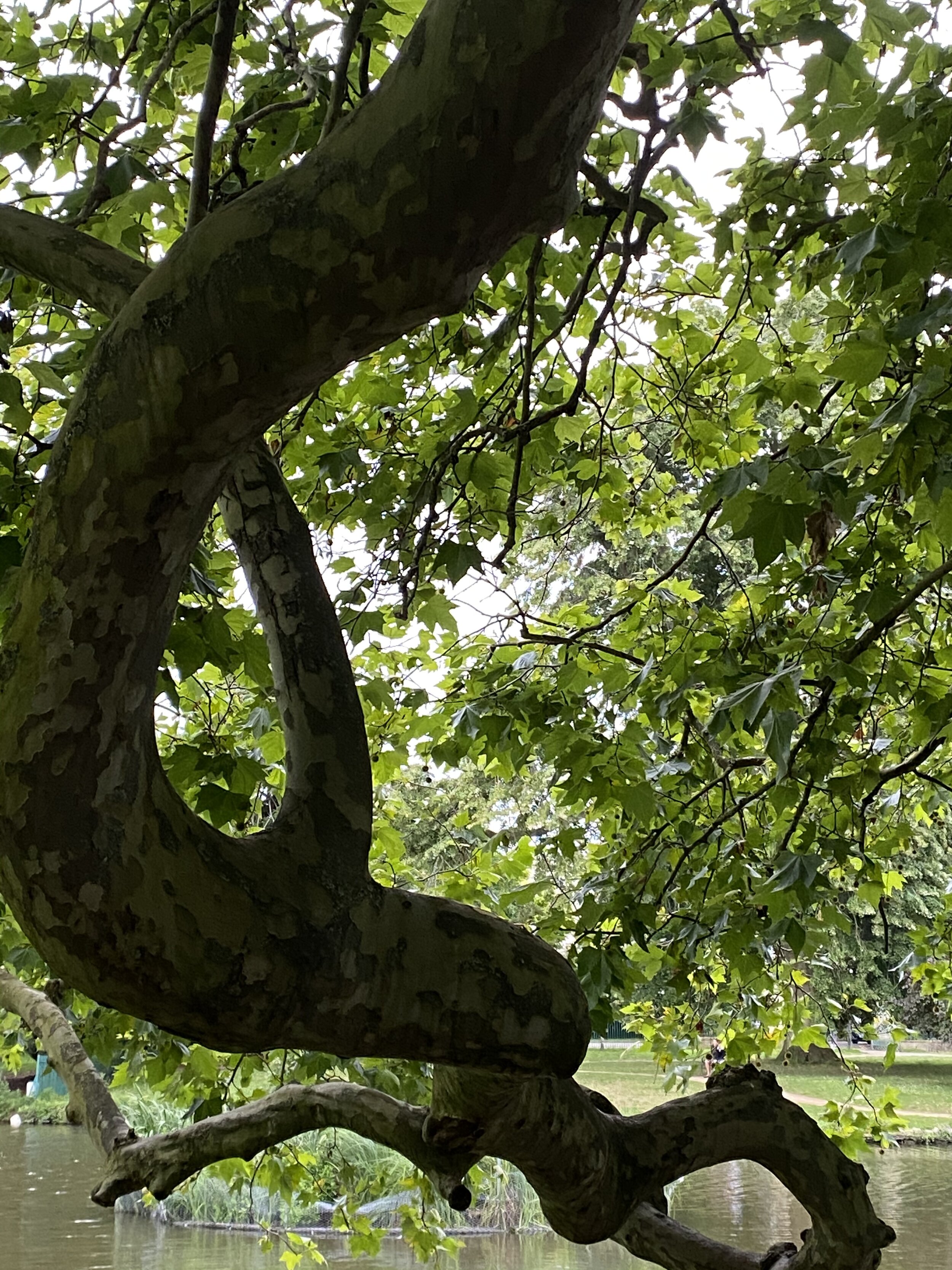 The Independence of Nature