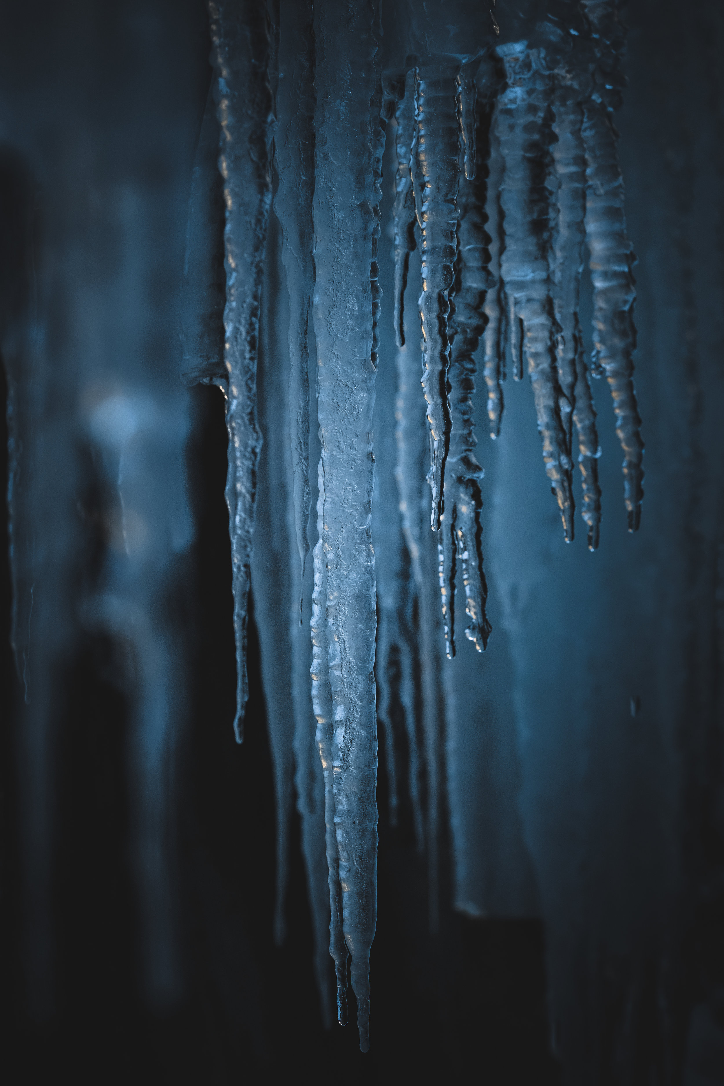Ice Age