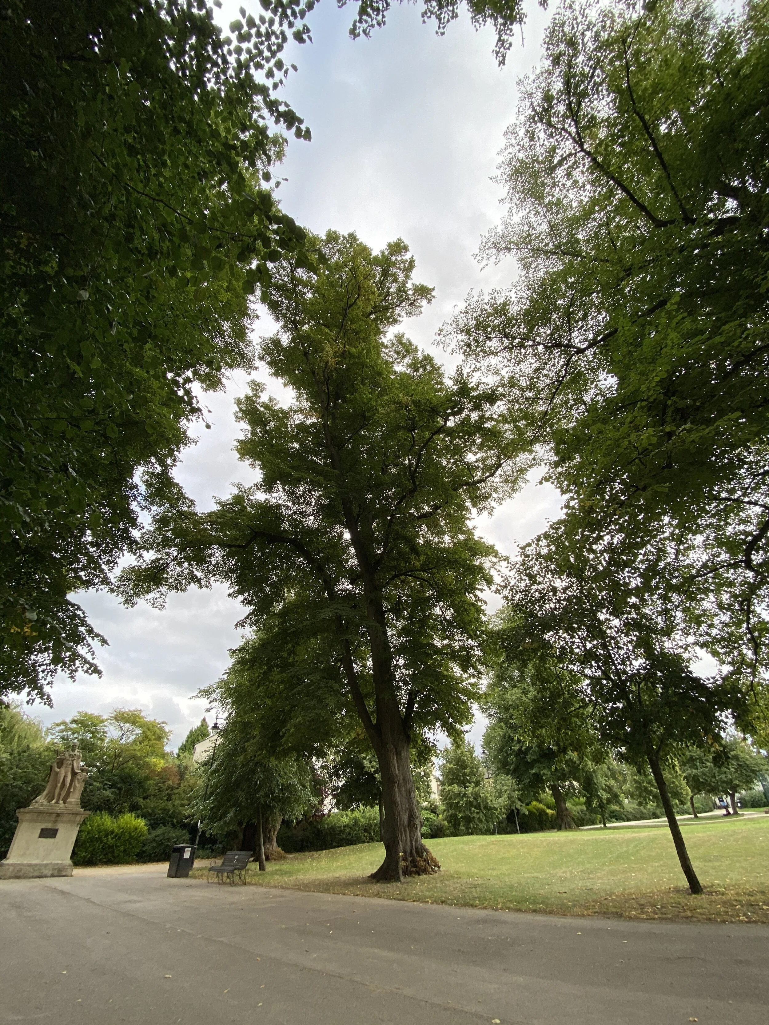 The Great and High Trees of Cheltenham Spa2020-8-3.jpeg