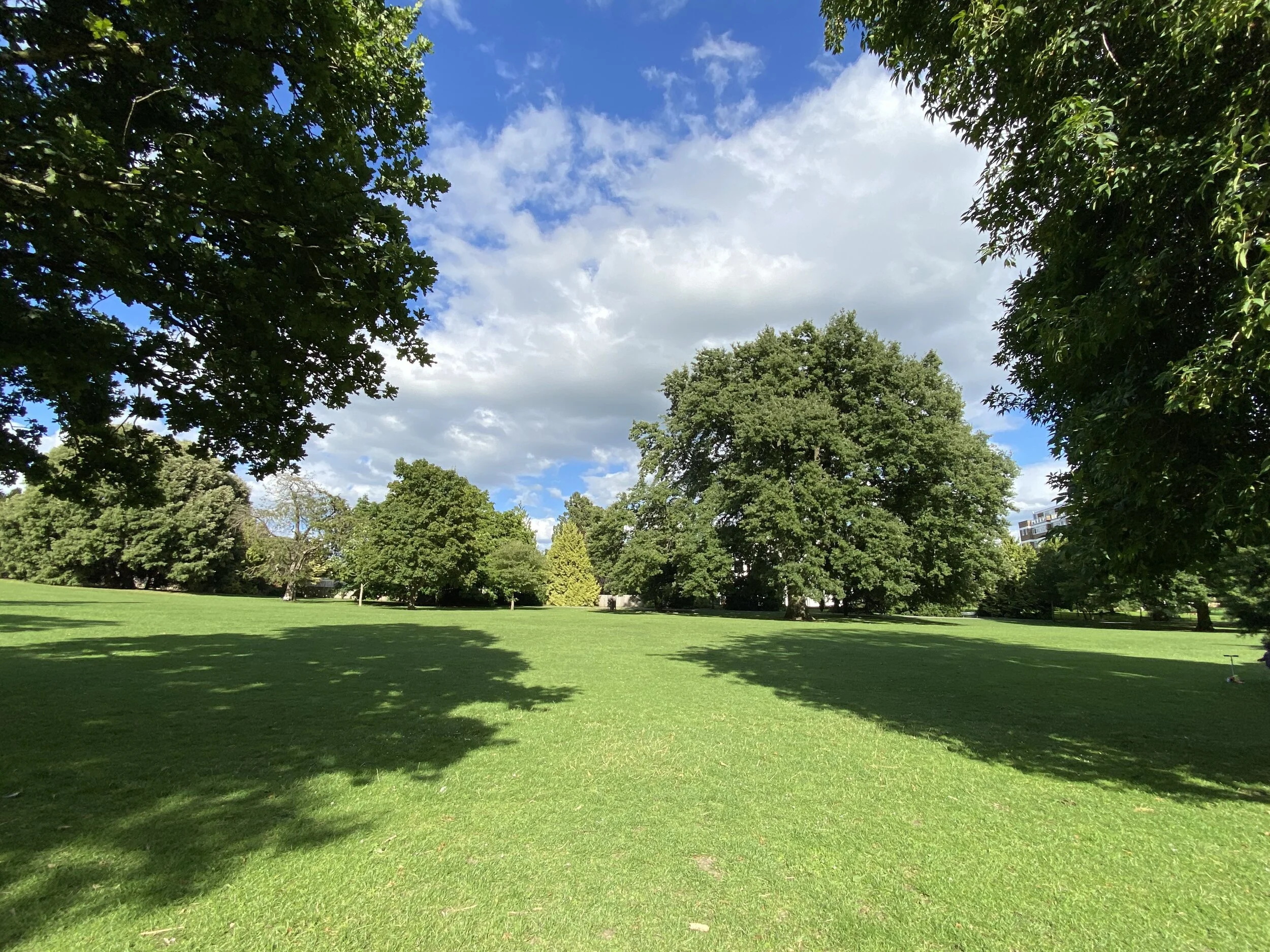 Pittville Park 2020-7-6.jpeg