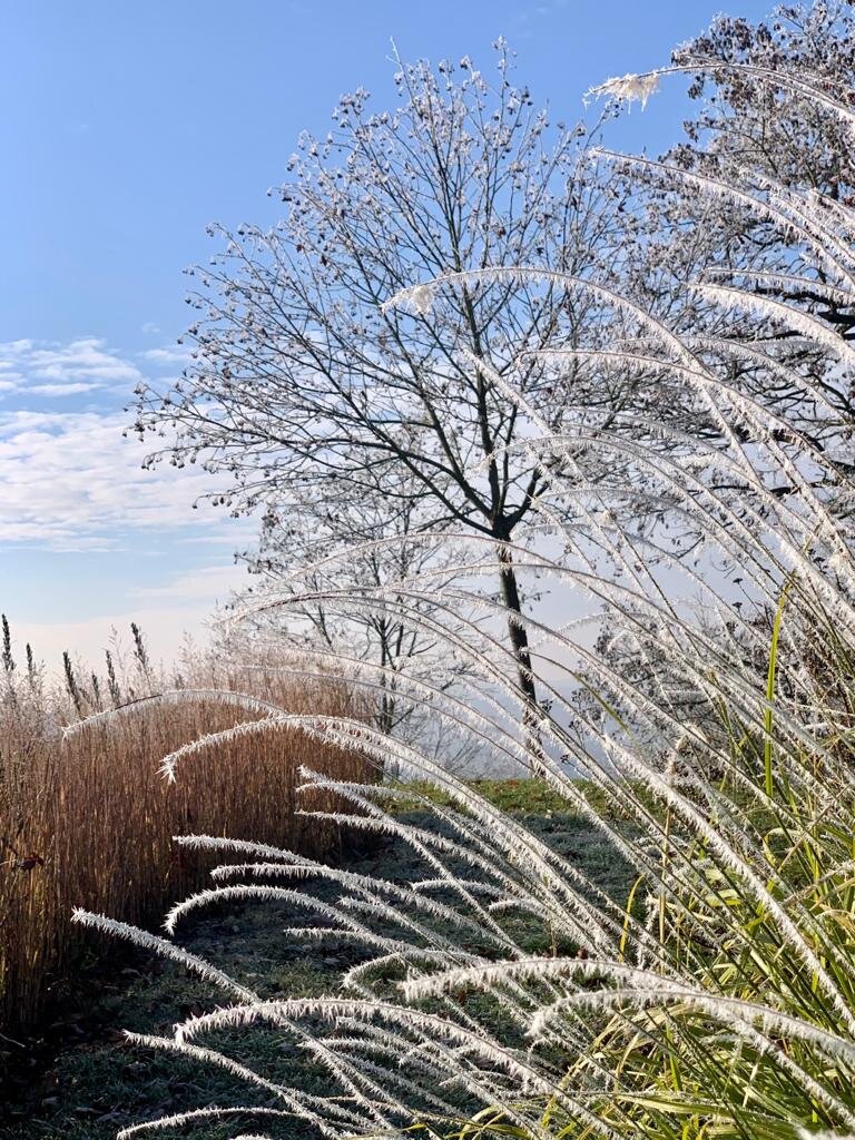 Der erste Schnee über Urbar in der rheinischen Pfalz von R.S. Dienstag, Dezember 1. 2020