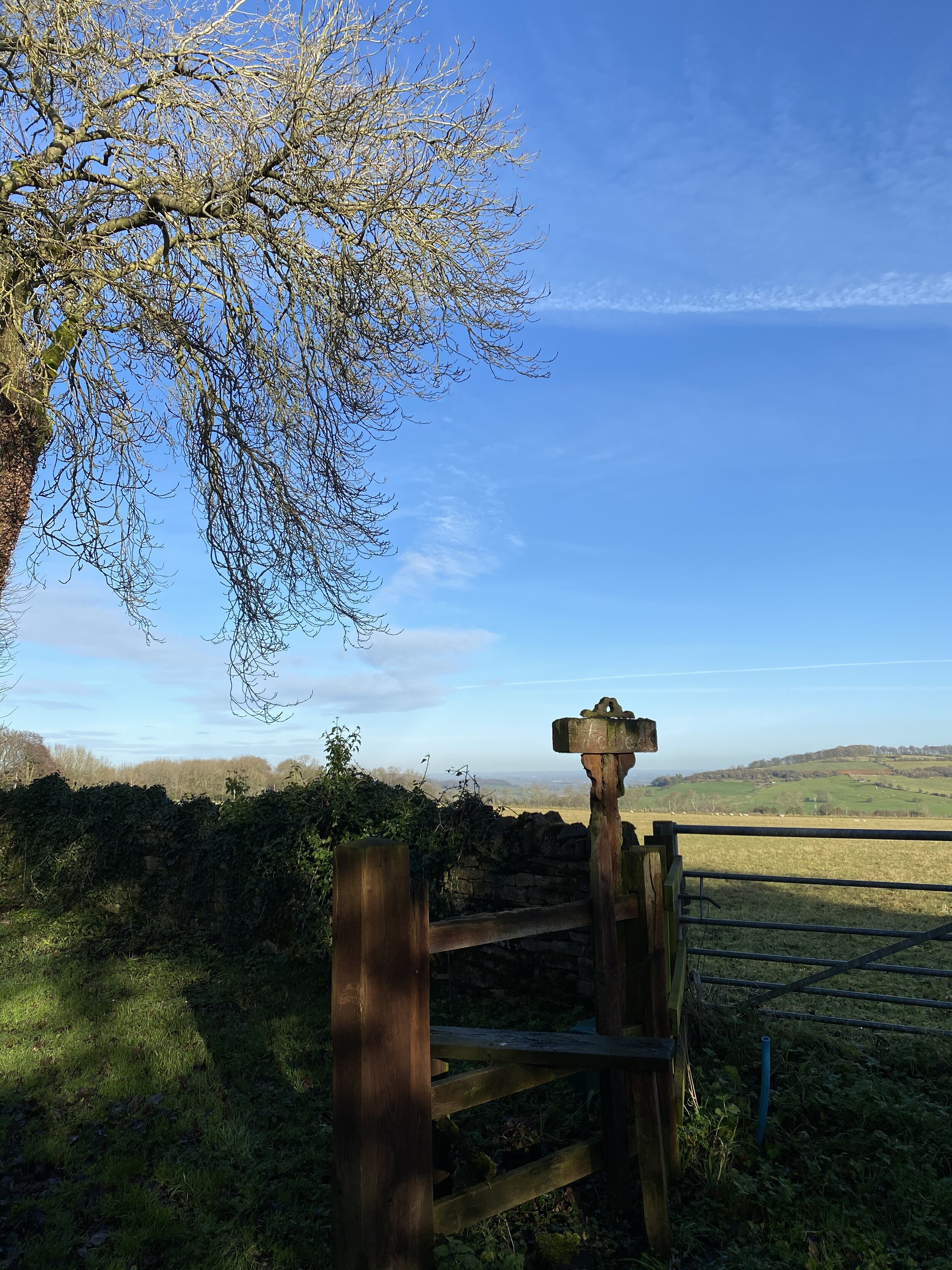 Auf dem Nottingham Hill, Bushcombe Lane, Gloucestershire von IBM