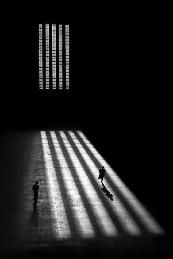 Game of Shadows