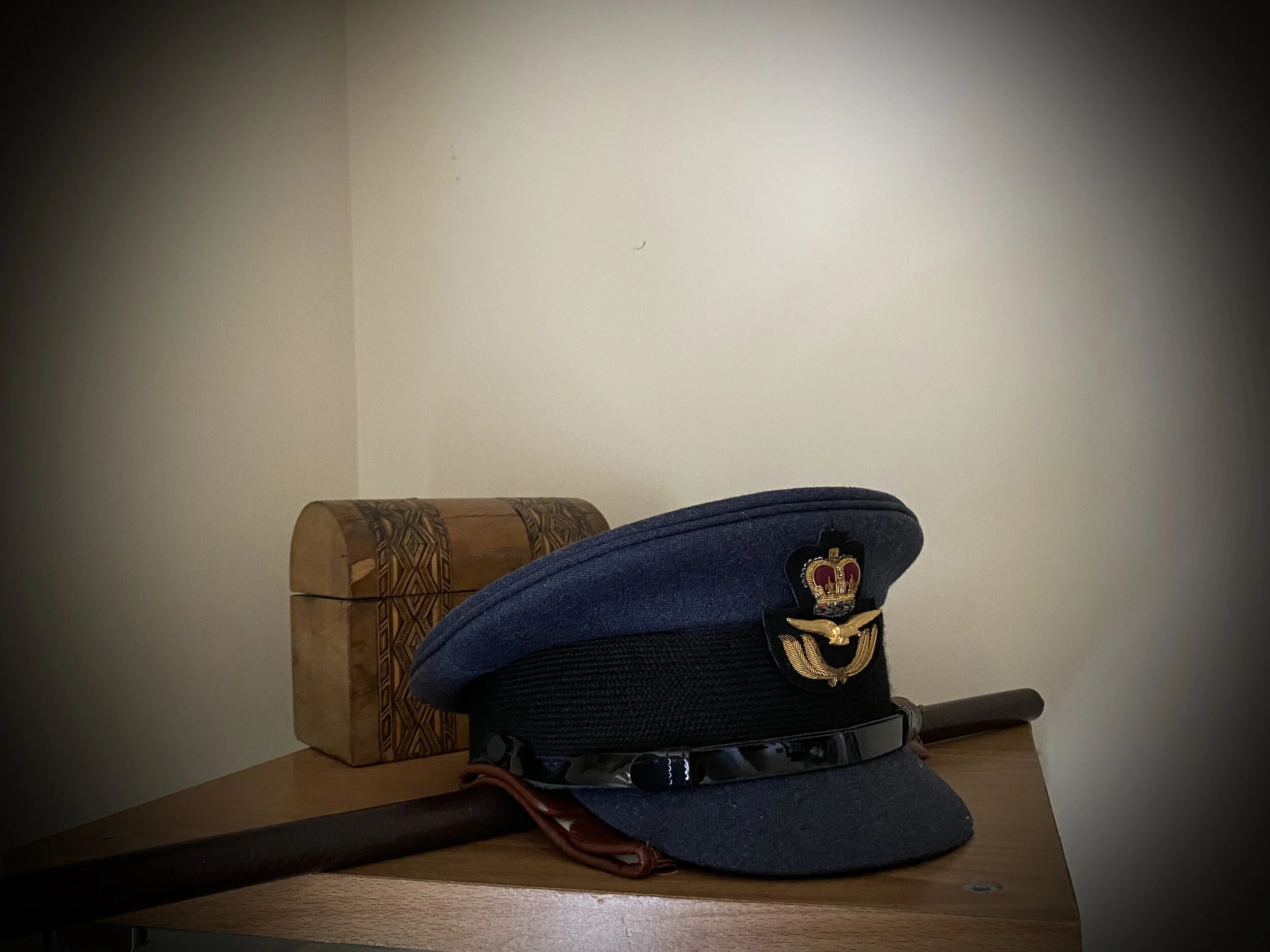 RAF Cap Cane Gloves.jpeg