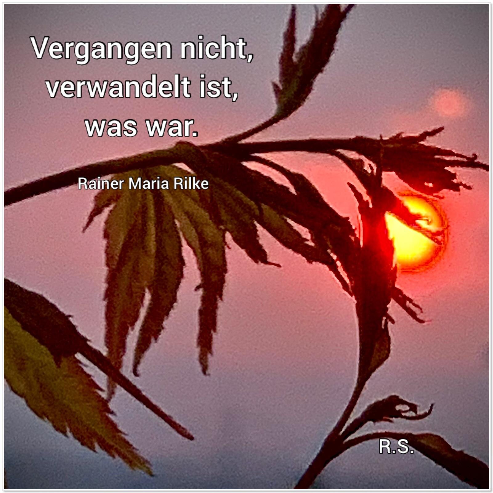 Sonnenuntergang über Urbar von Meine Balcon gestern 18.4.2021 von R.S..jpg