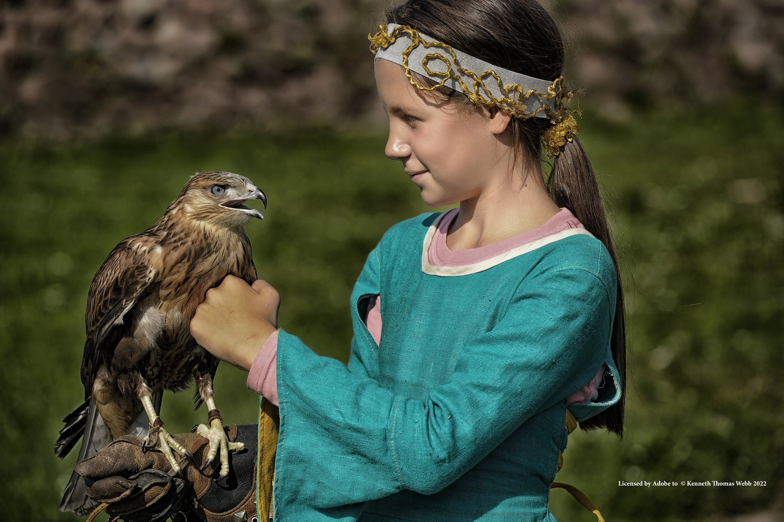 LTKTW Falconer signed 17.1.2022 AdobeStock_139927688.jpeg