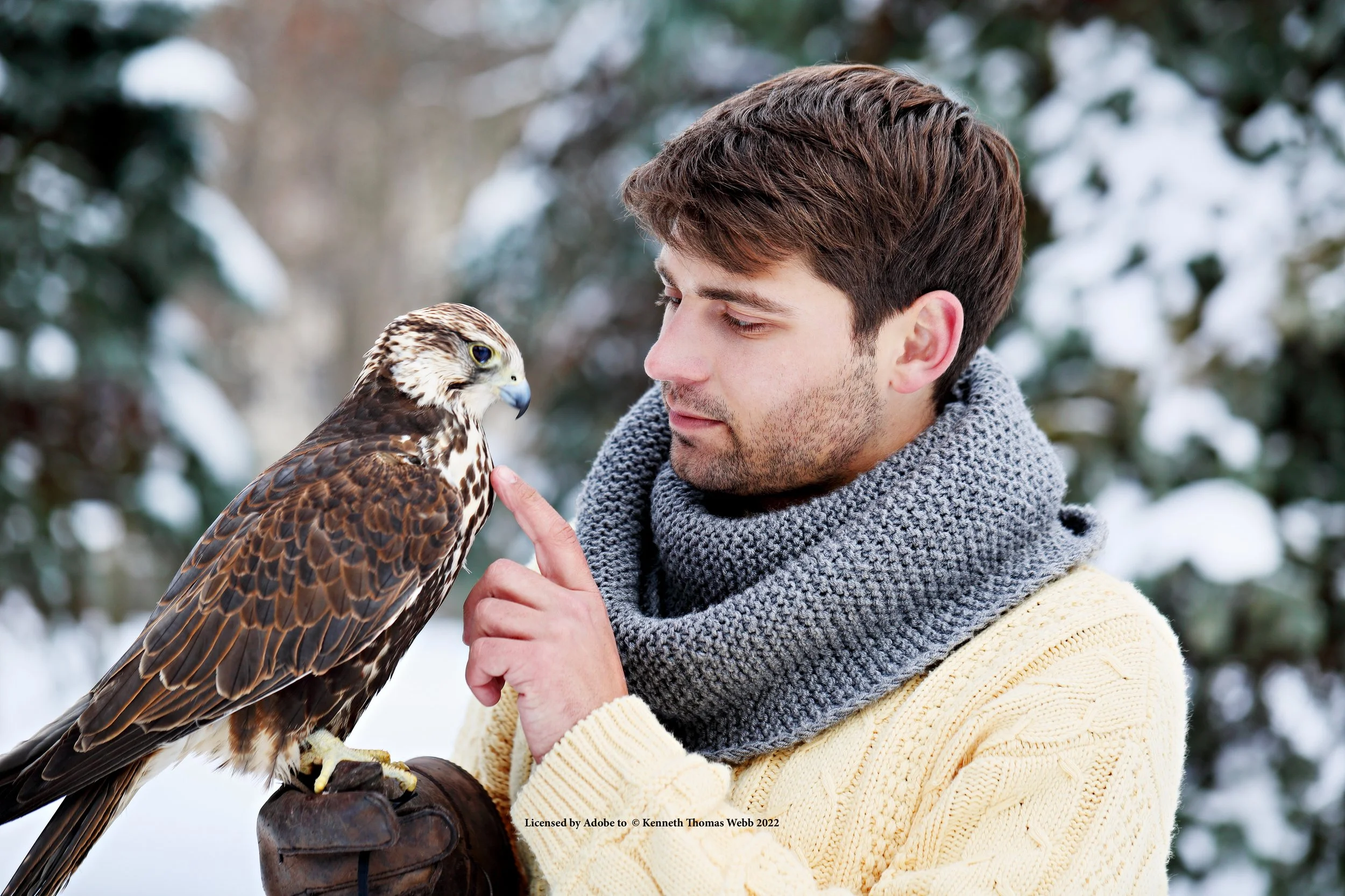 LTKTW Falconer signed 17.1.2022 AdobeStock_138829864.jpeg