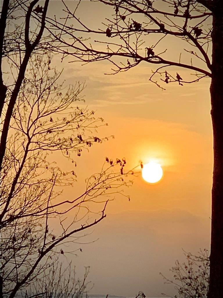 Sonnenuntergang über Urbar heute Abend 2021-3-3.jpg