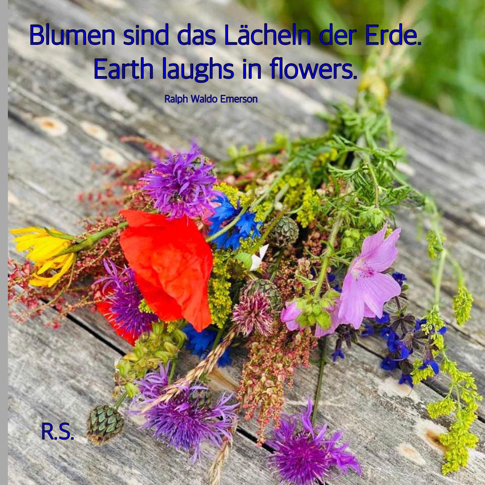 RS Earth Laughs in Flowers RW E,merson 20.6.2020 2.jpg