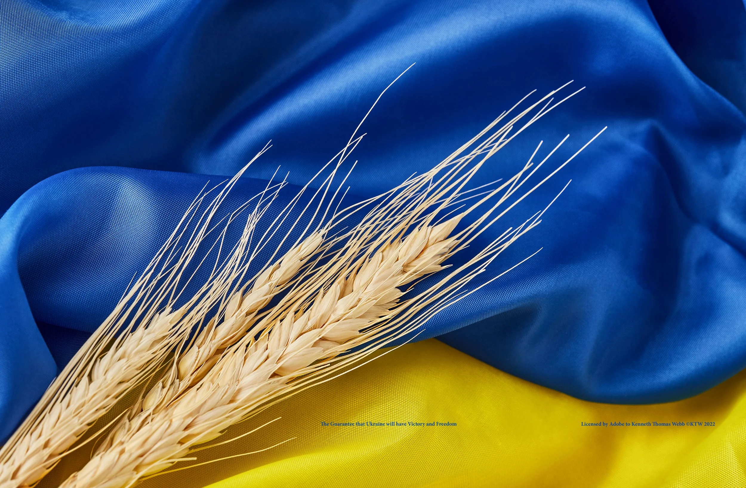LTKTW Ukraine - The Guarantee signed 14.10.2022 AdobeStock_487620409.jpeg