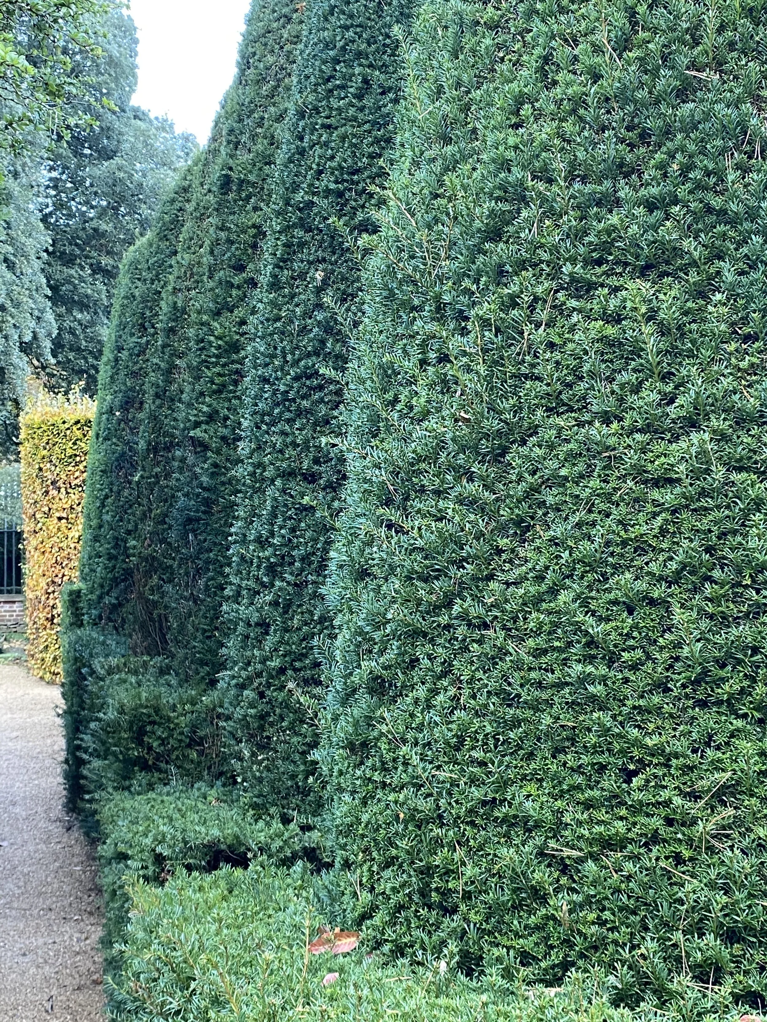 Hidcote 21.jpeg