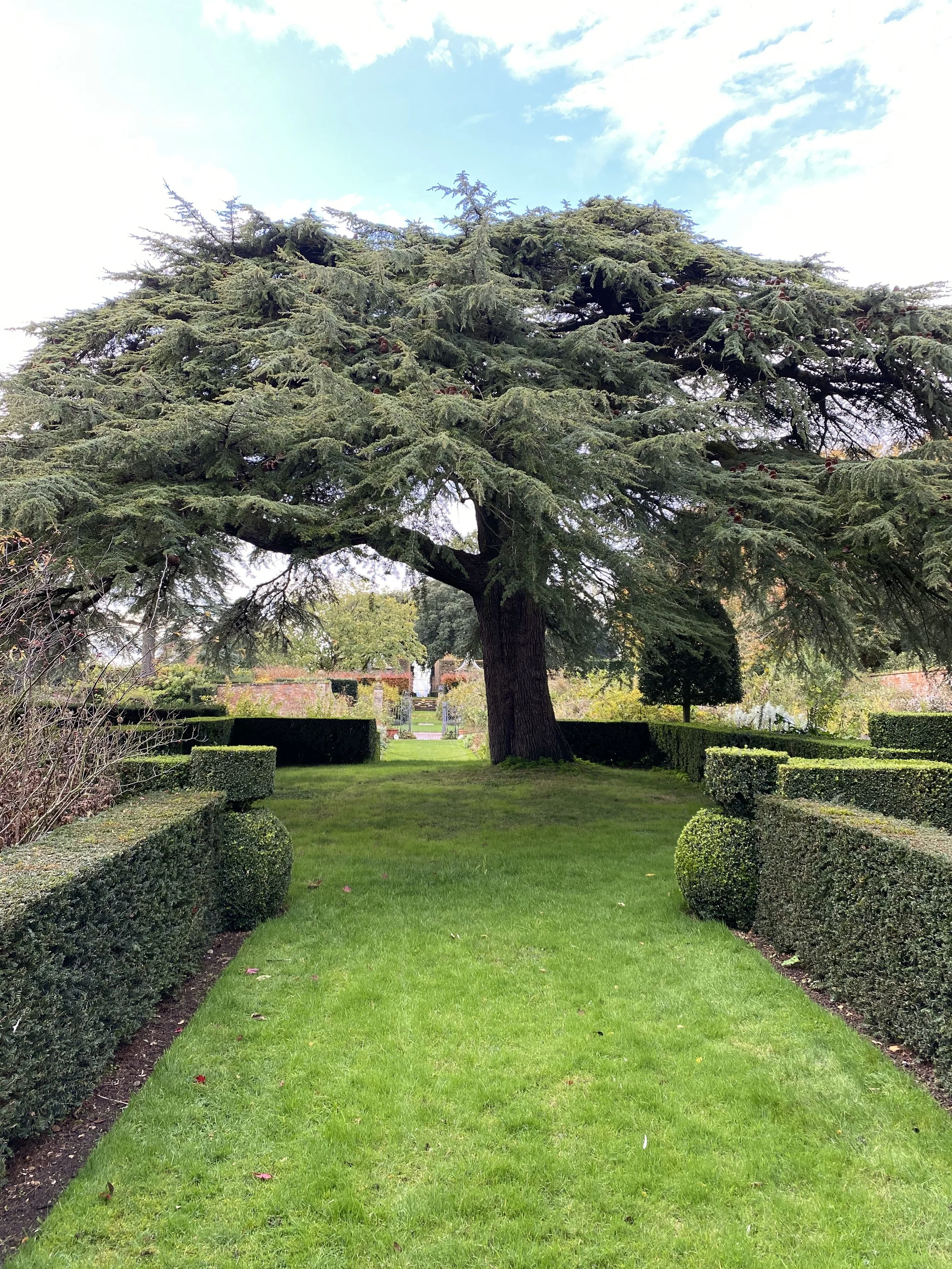 Hidcote 25.jpeg