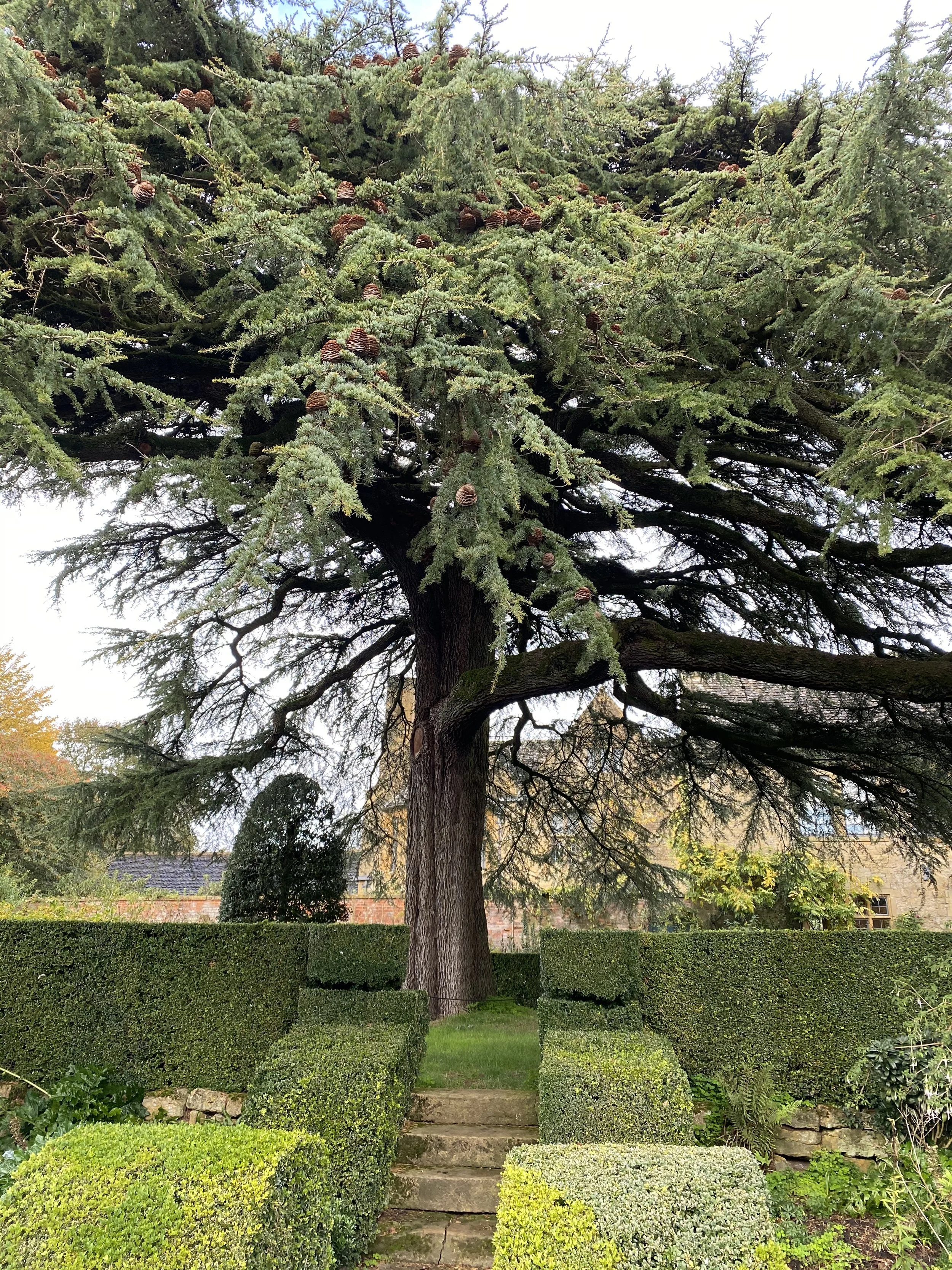 Hidcote 27.jpeg