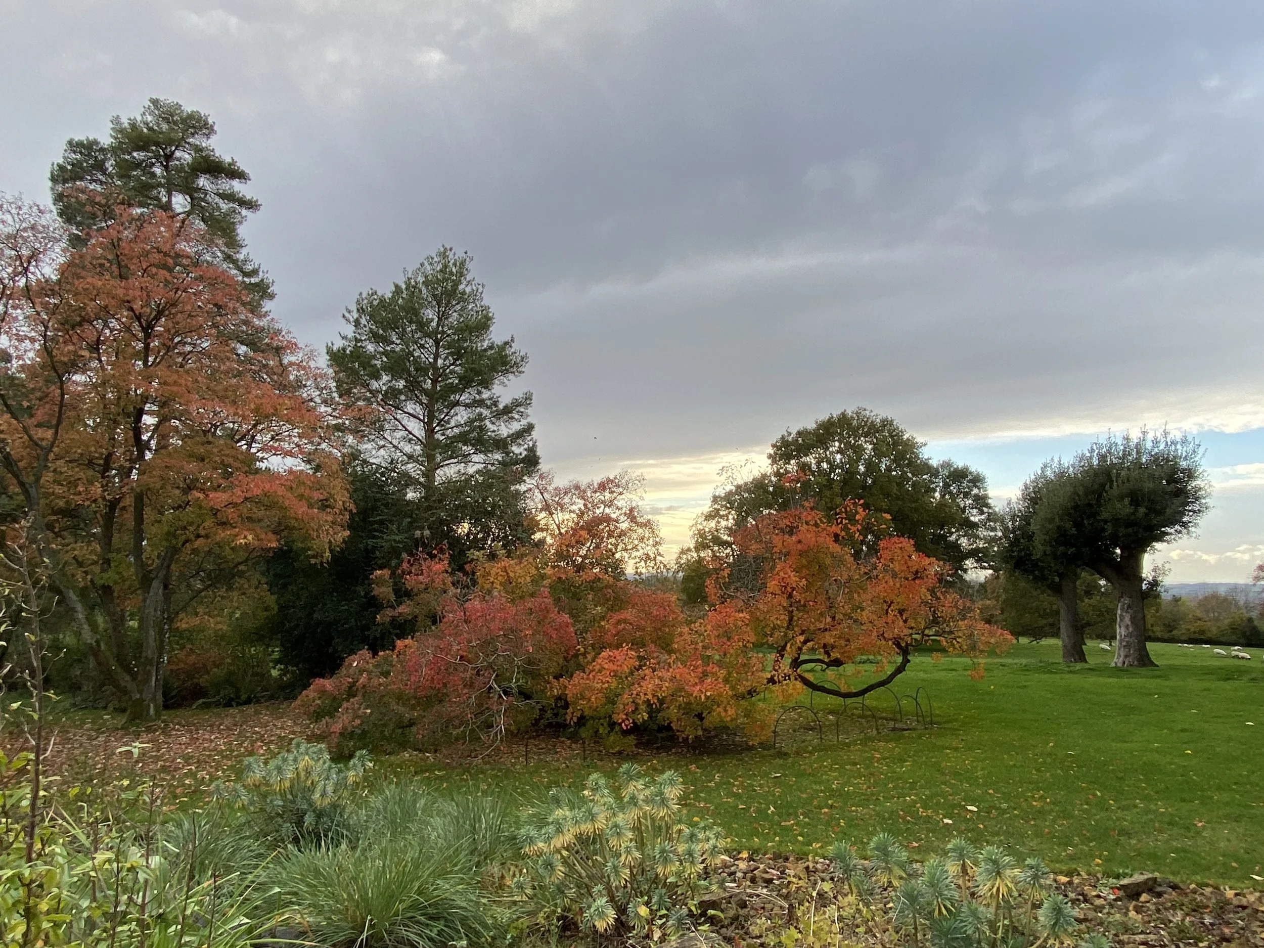 Hidcote Manor 6.jpeg