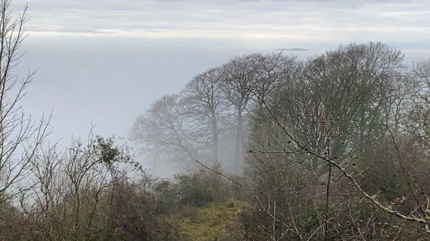 A+Monday's+Winter+Mists+©MM+2020-12-7.jpg