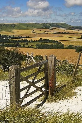 A Farmgate in England.jpg
