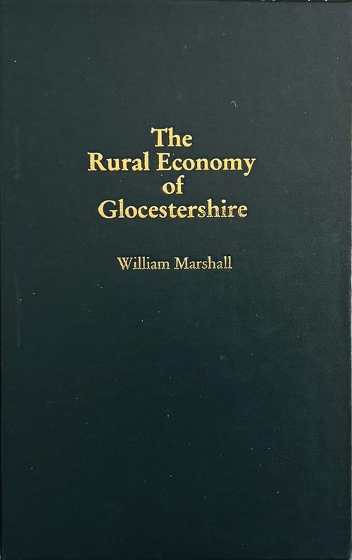 WM HEDGEROW TIMBER ~ An 18th Century Perspective