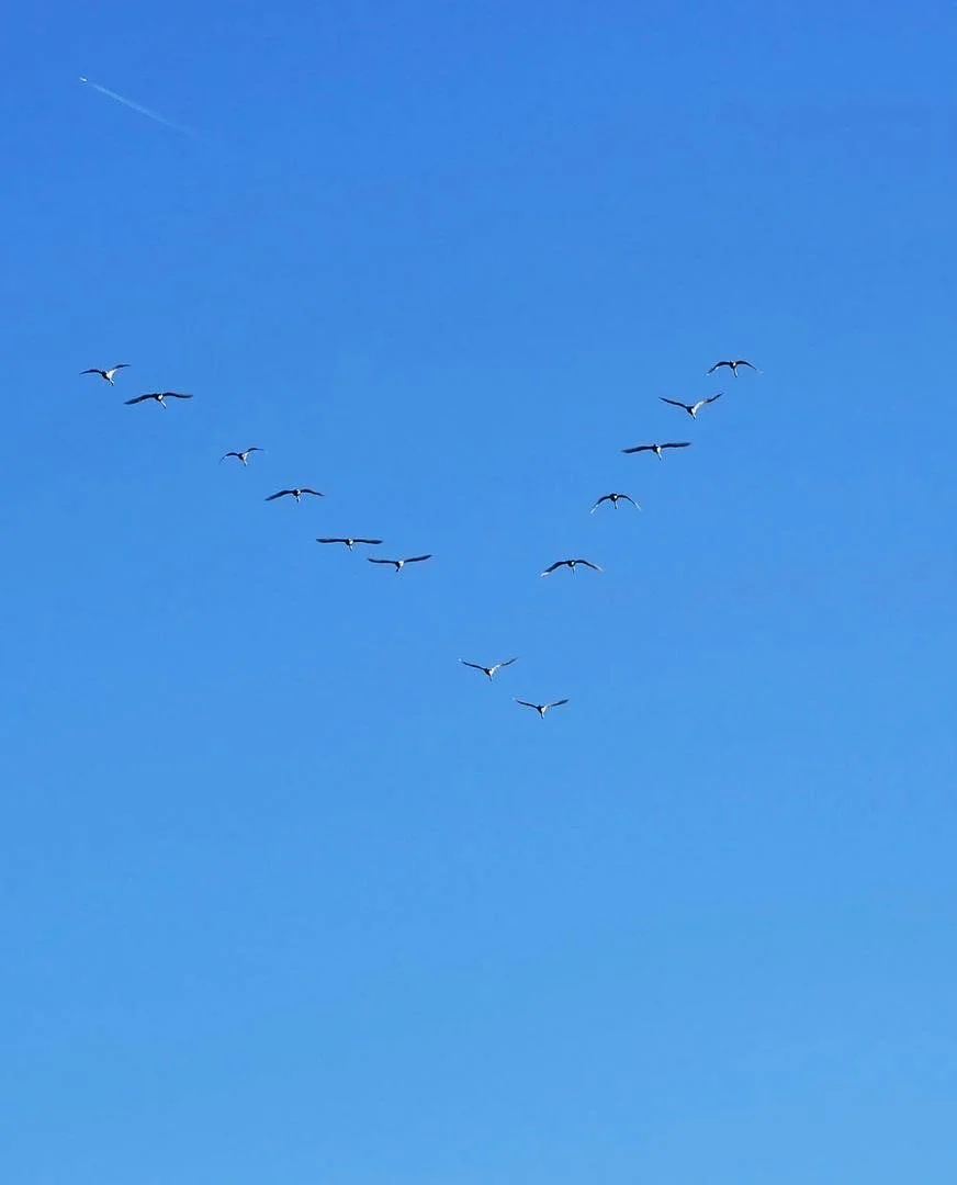 The Unceasing Marvel of Nature