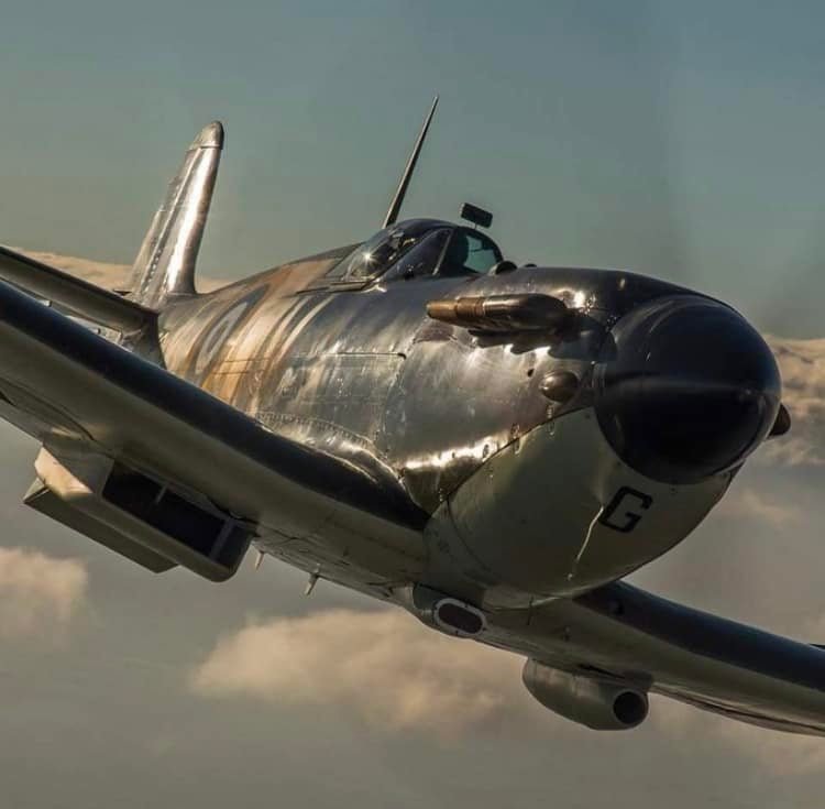 Review ~ ... And Parents Pointed and Whispered to Children ~ Spitfire