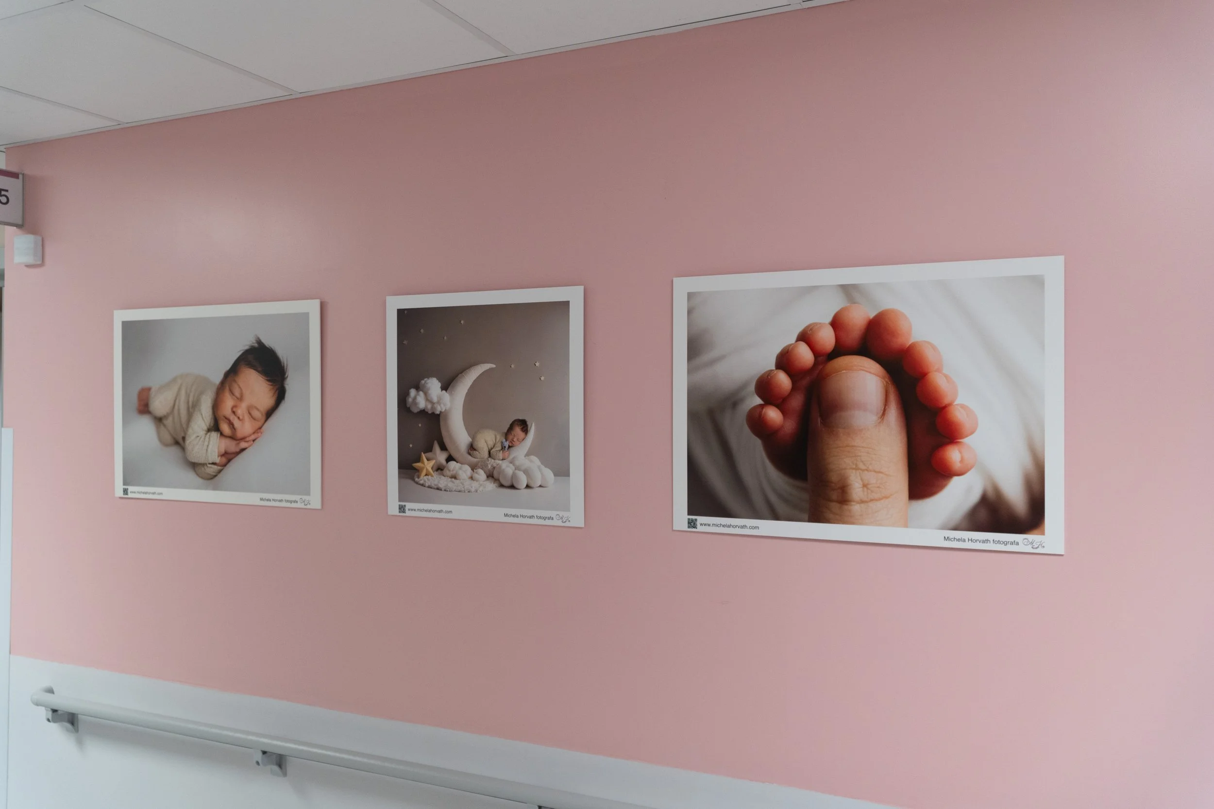 Un progetto fotografico donato al reparto maternità di Treviso