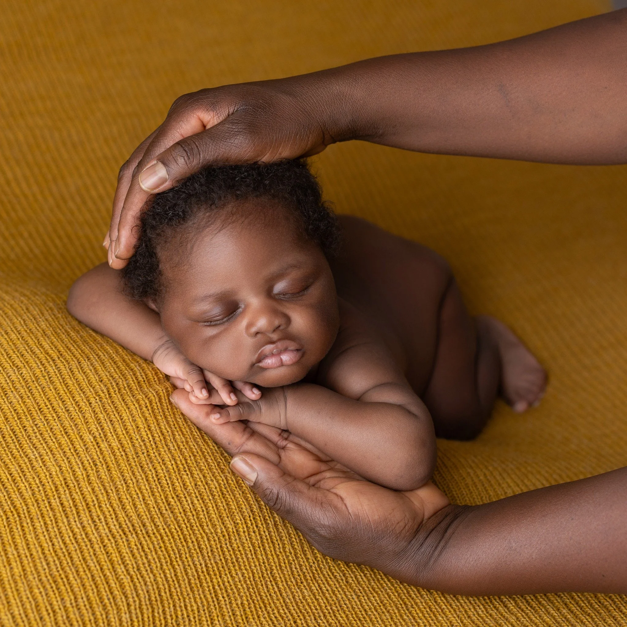 Ricciolini morbidi, guanciotte piene e una pelle scura meravigliosa che nella luce diventa ancora pi&ugrave; luminosa ✨

Questo piccolino &egrave; arrivato in studio quando aveva gi&agrave; 44 giorni.
Un po&rsquo; pi&ugrave; grande rispetto alle clas