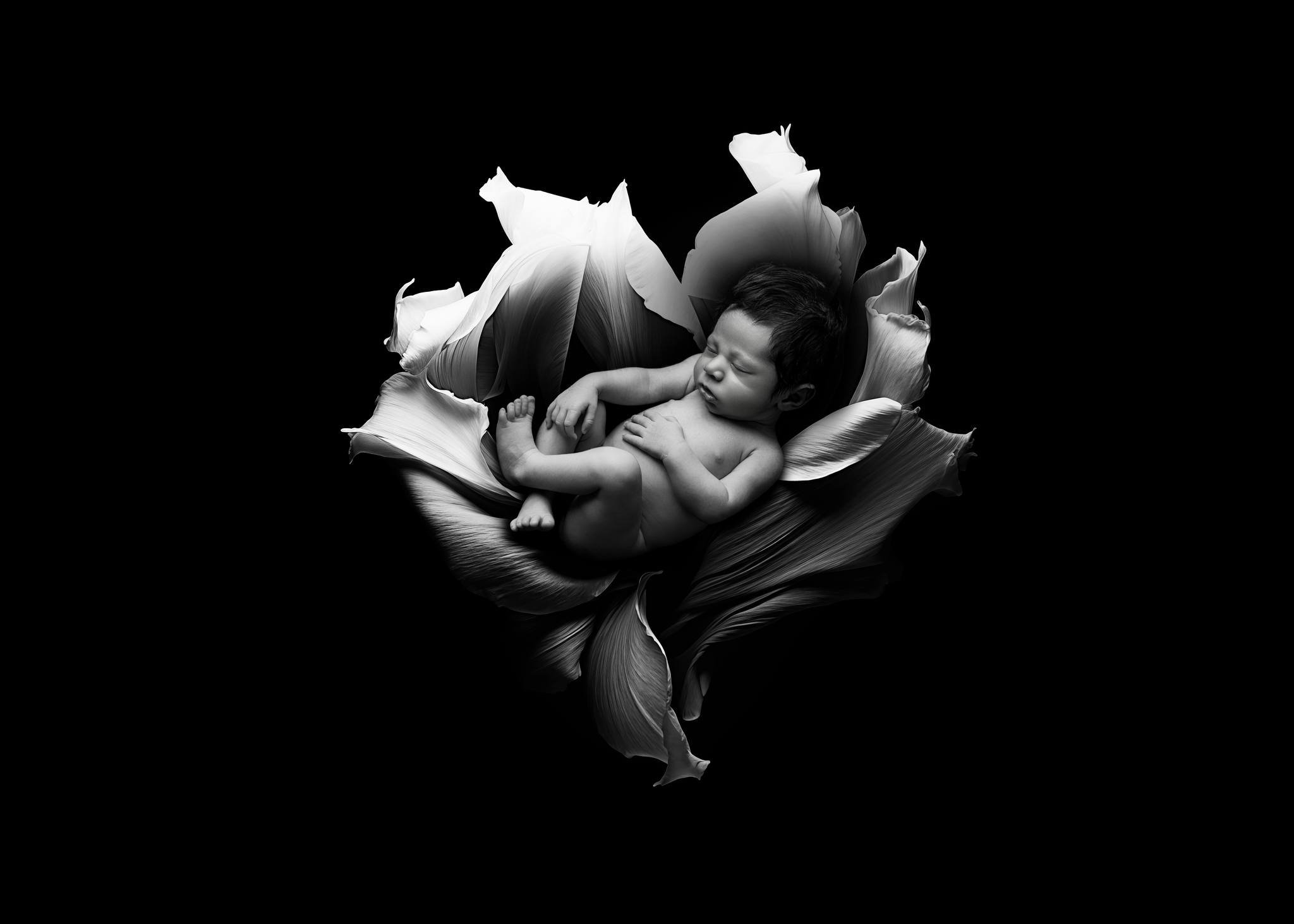 Negli ultimi tempi mi chiedete spesso informazione sugli sfondi digitali per le foto newborn&hellip; e oggi vi racconto un po&rsquo; di pi&ugrave;.

Sono ambientazioni create in post produzione, che permettono di inserire il vostro bimbo in scenari d