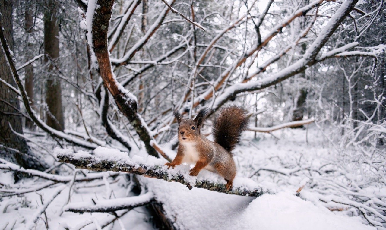 Screenshot 2025-12-15 at 22.41.58 Large.jpeg