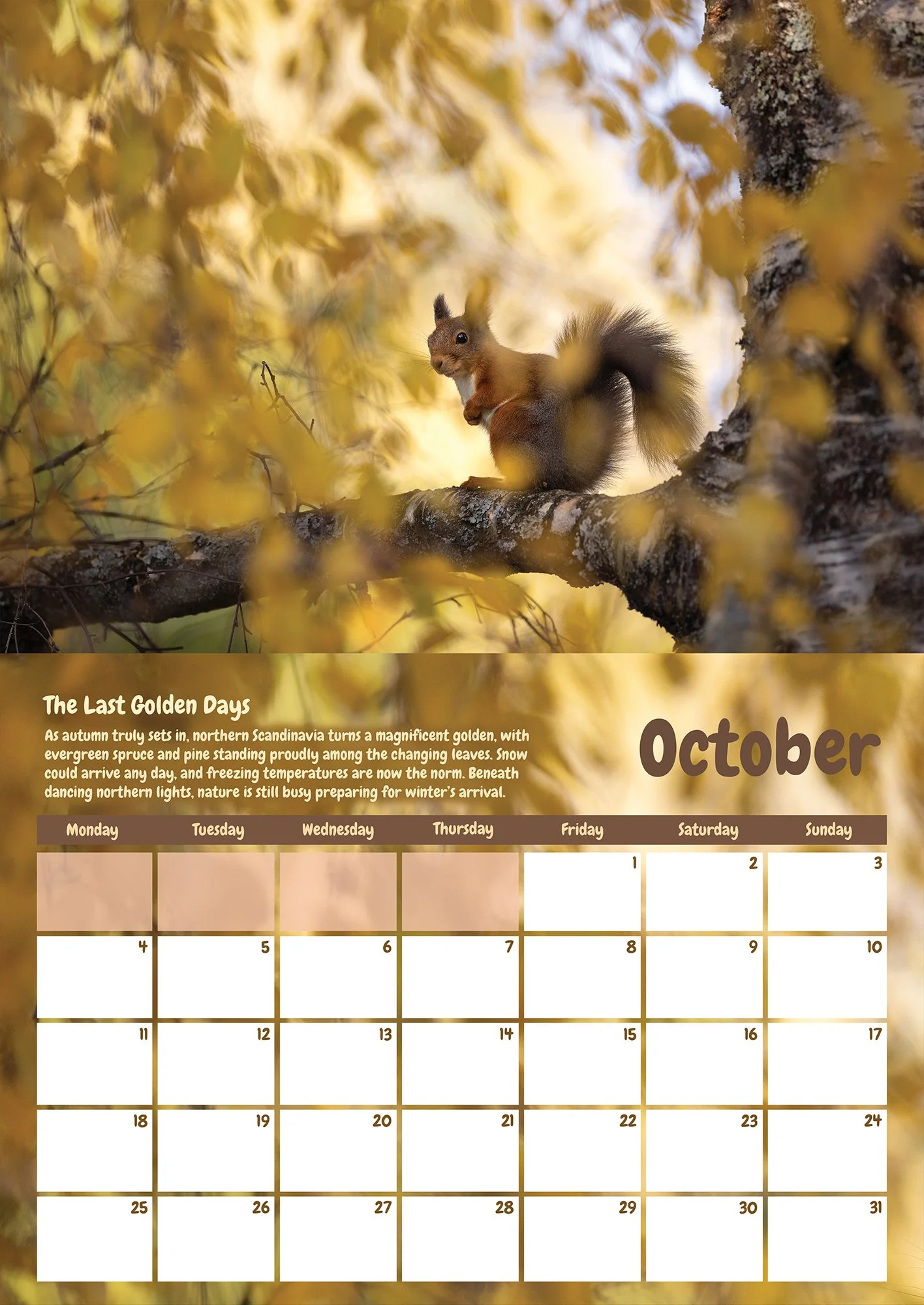 squirrel_marketing_2.jpg