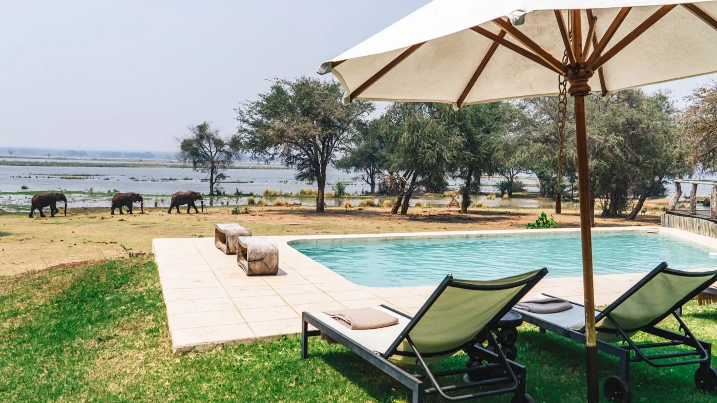 Elephants-At-Pool-Anabezi-Camp-Lower-Zambezi.jpg.webp