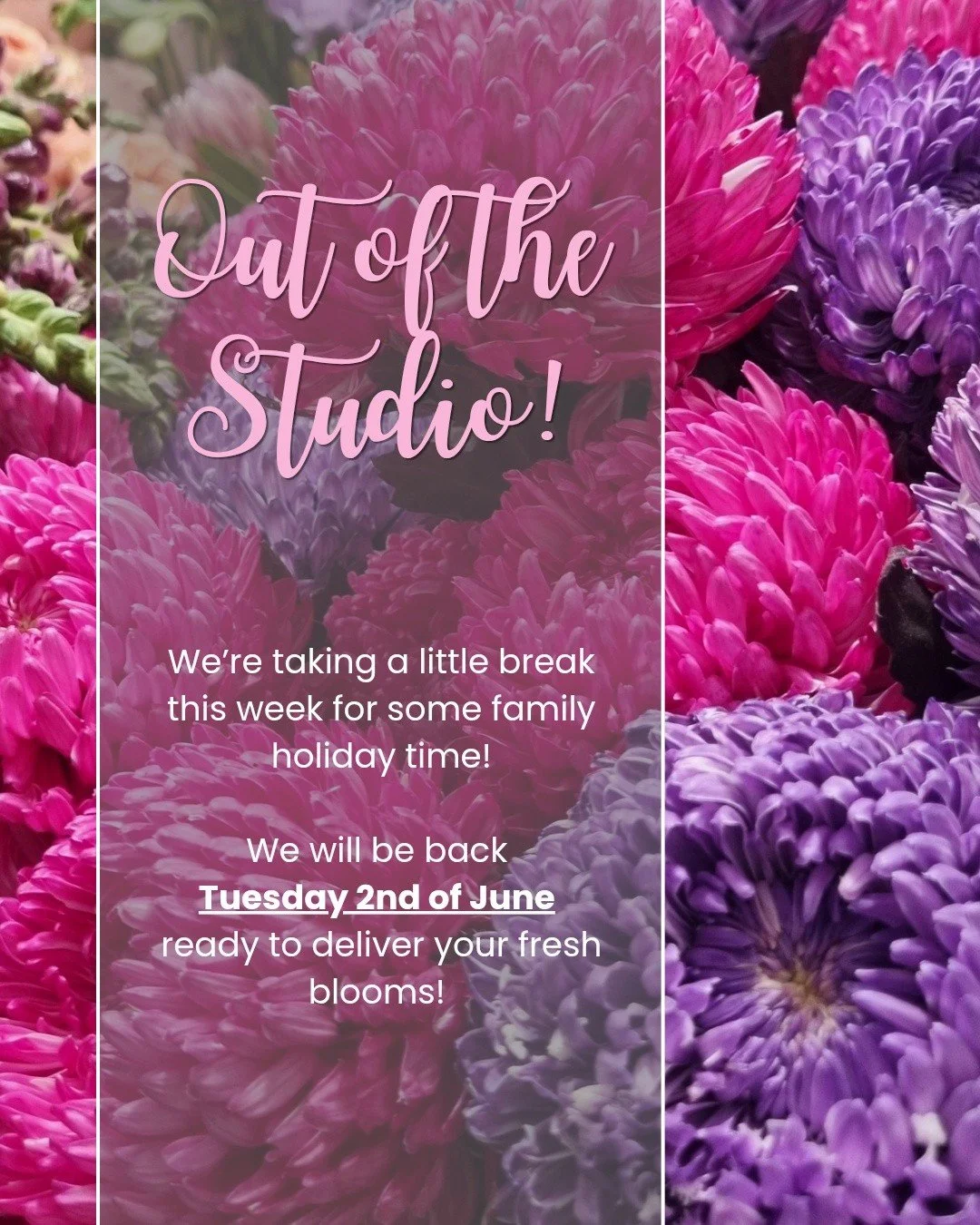 We will be closed this week Monday 25th - Friday 29th of May for holidays. Following a busy few weeks, the whole family is in need of some time away! 🫶

We'll be back bright-eyed and bushy-tailed on Tuesdy 2nd June! 🌸✌️

Website and phone orders wi