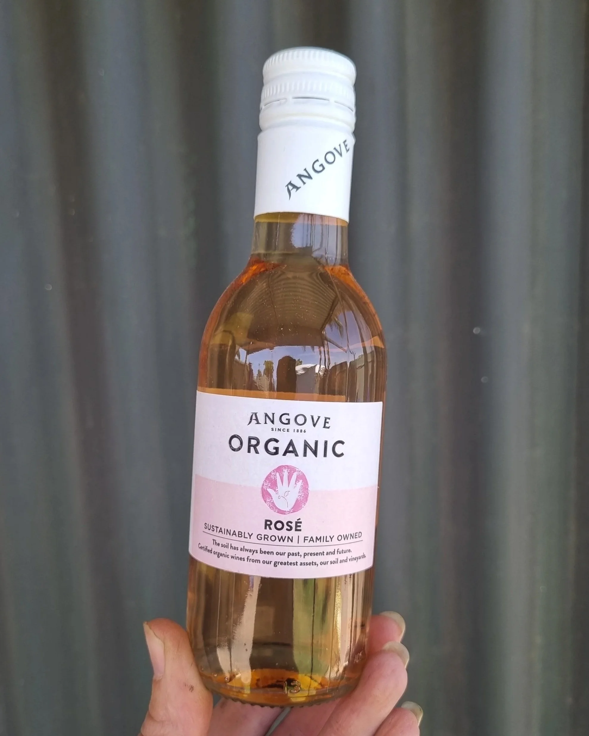 Angoves Rosé Picollo