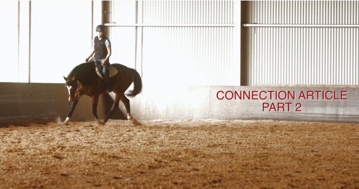 Connection Article 2