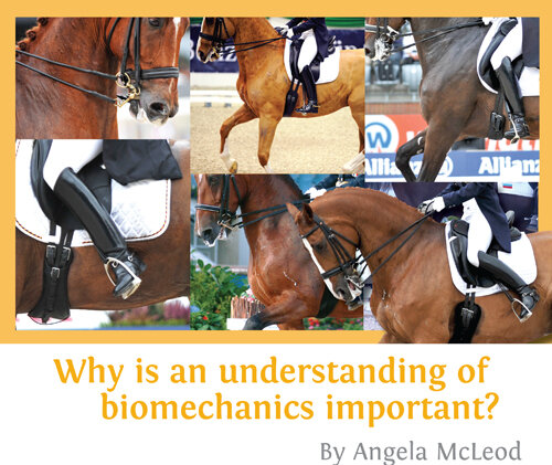 Why Is An Understanding Of Biomechanics Important?