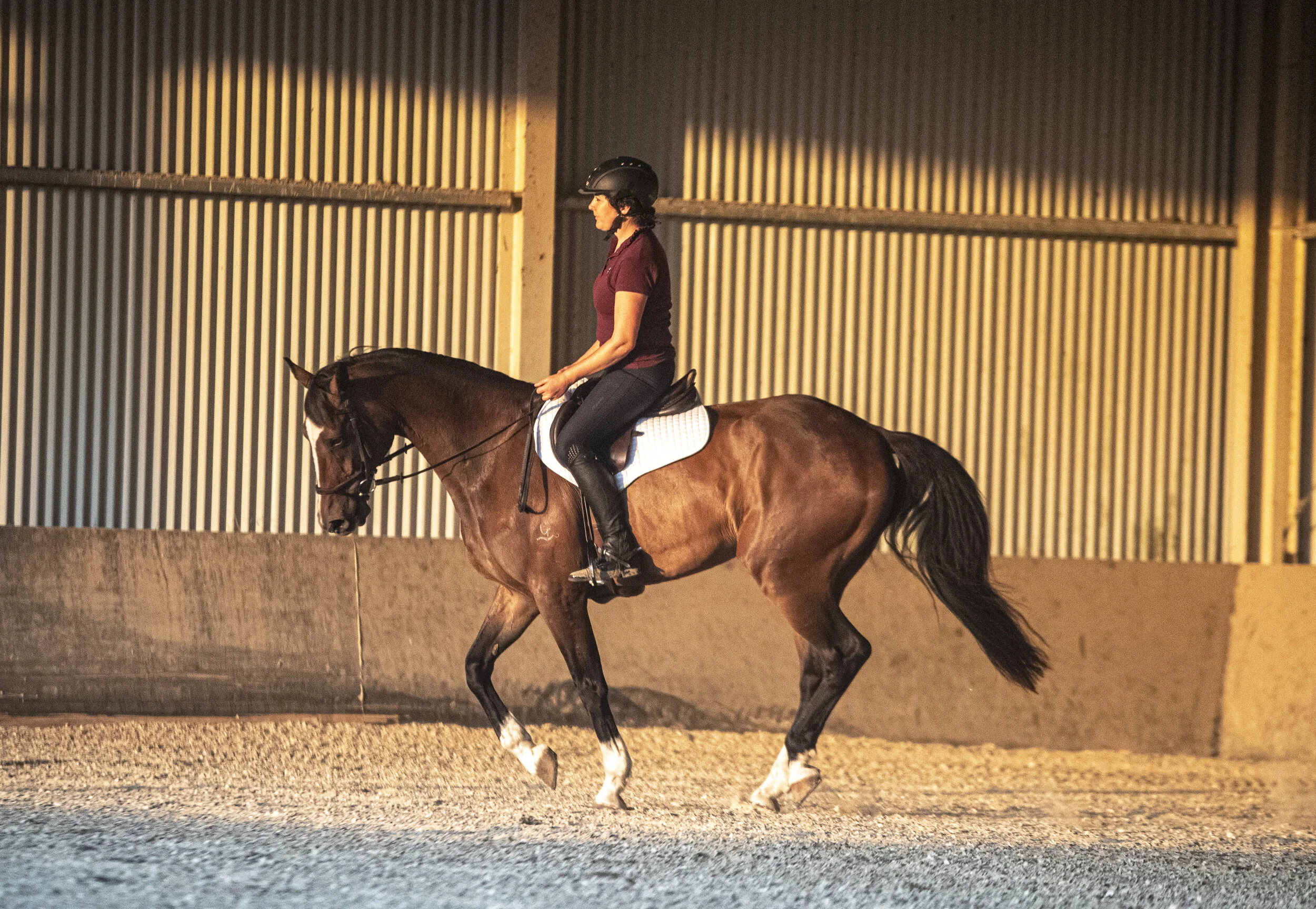 Angela McLeod Equine Biomechanics