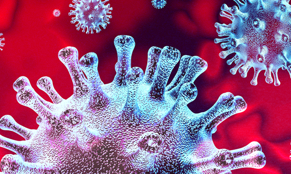 Covid-19 Employee Wellbeing Helpline