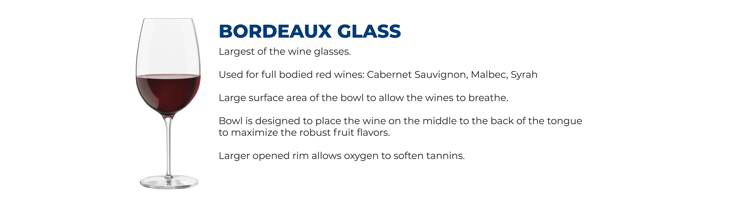 Wine Glass Breakdown-03.png