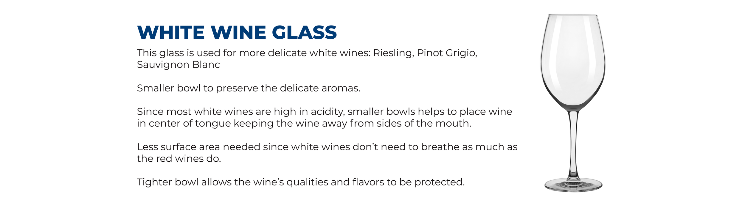 Wine Glass Breakdown-04.png