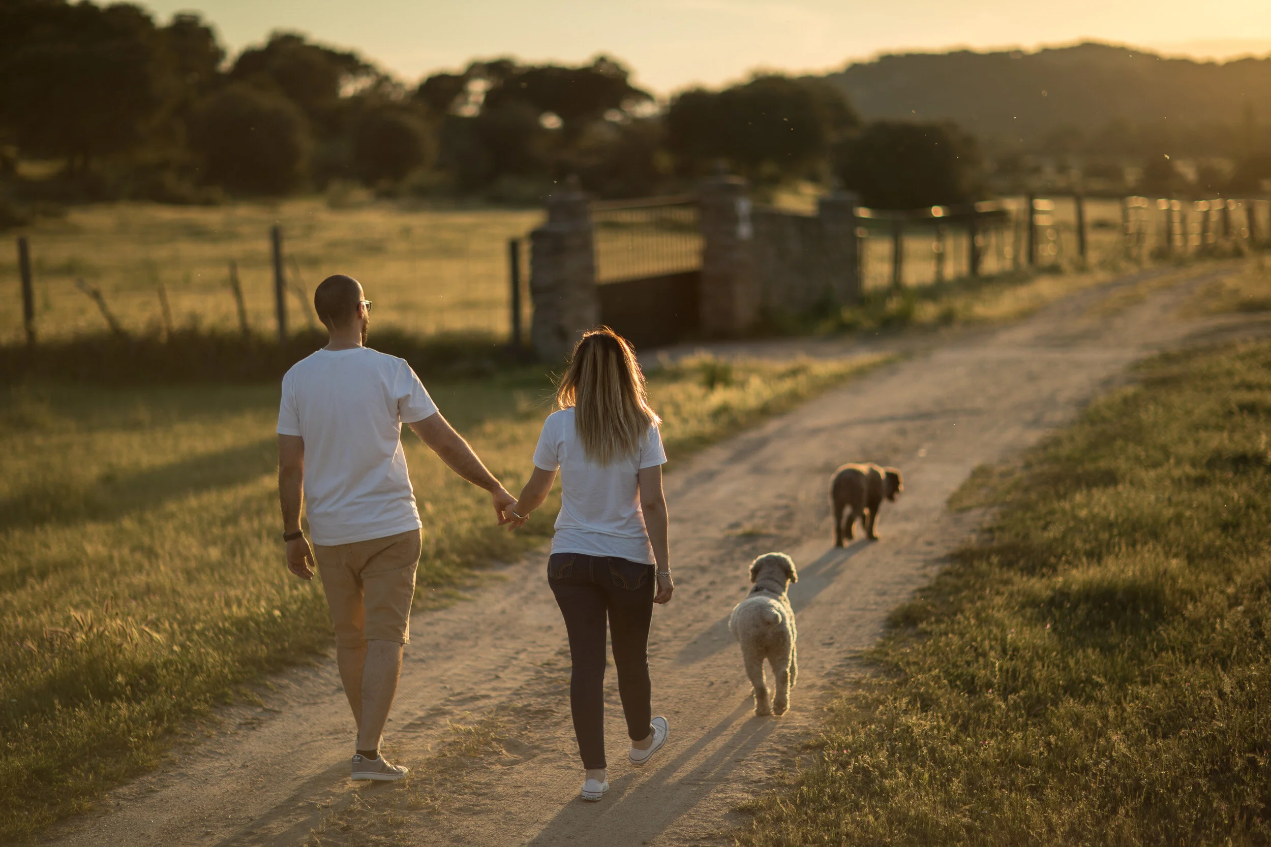preboda-con perros-8836.jpg