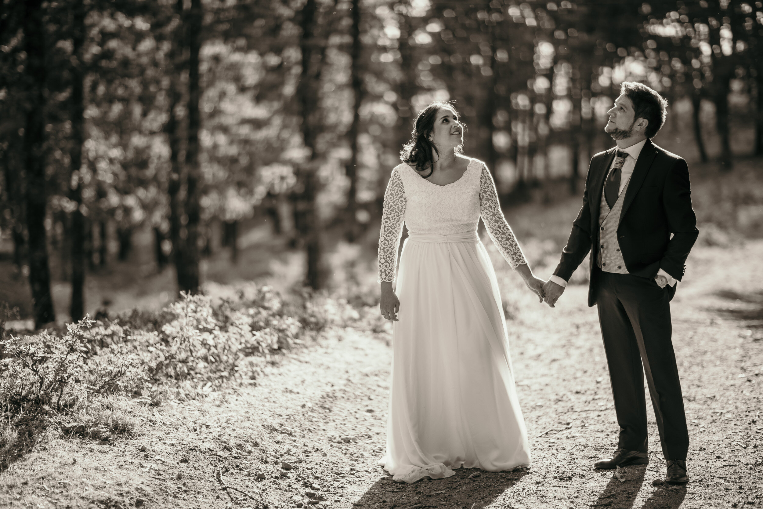 Postboda en Talavera