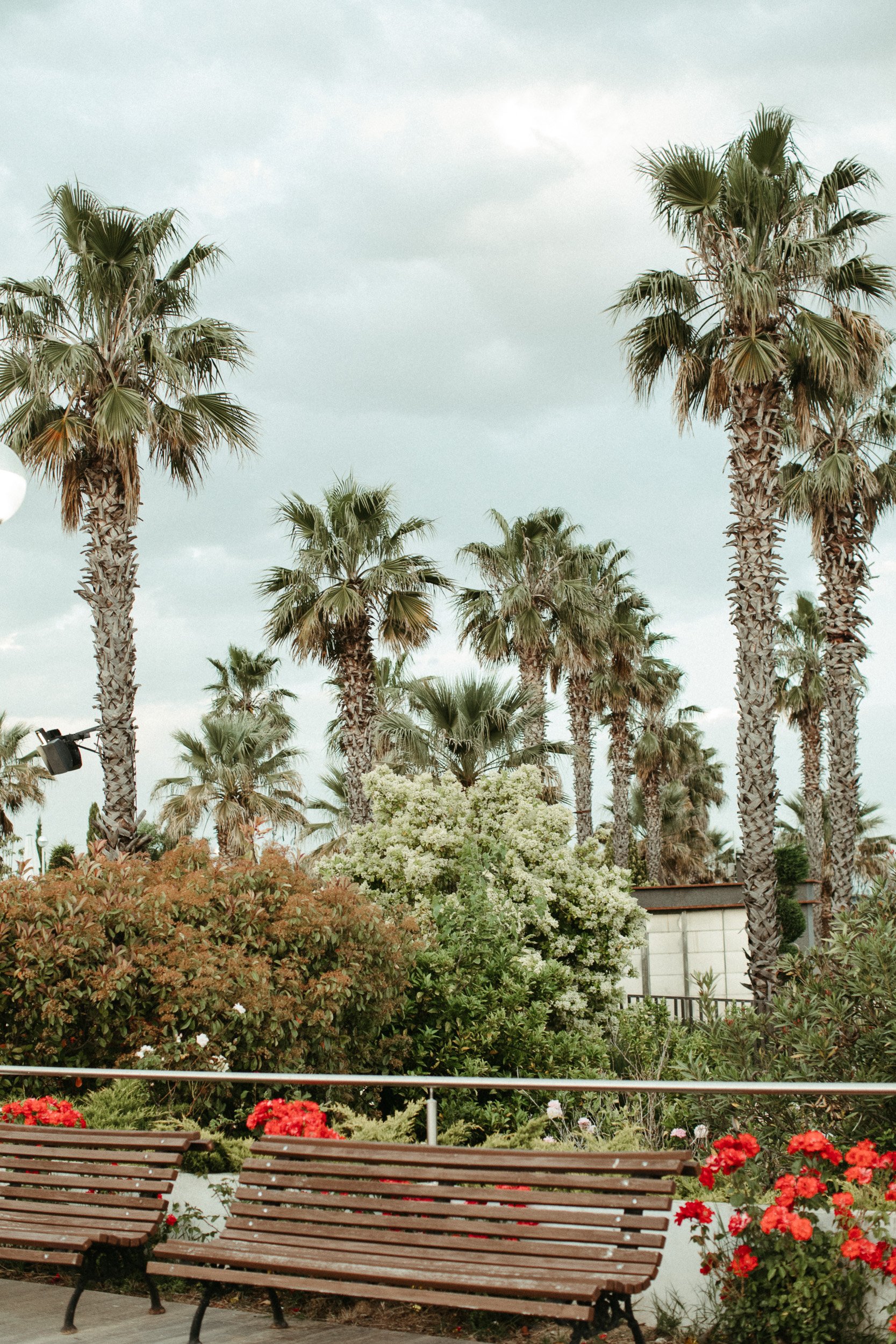 boda-en-el-palmeral-resort-113.JPG