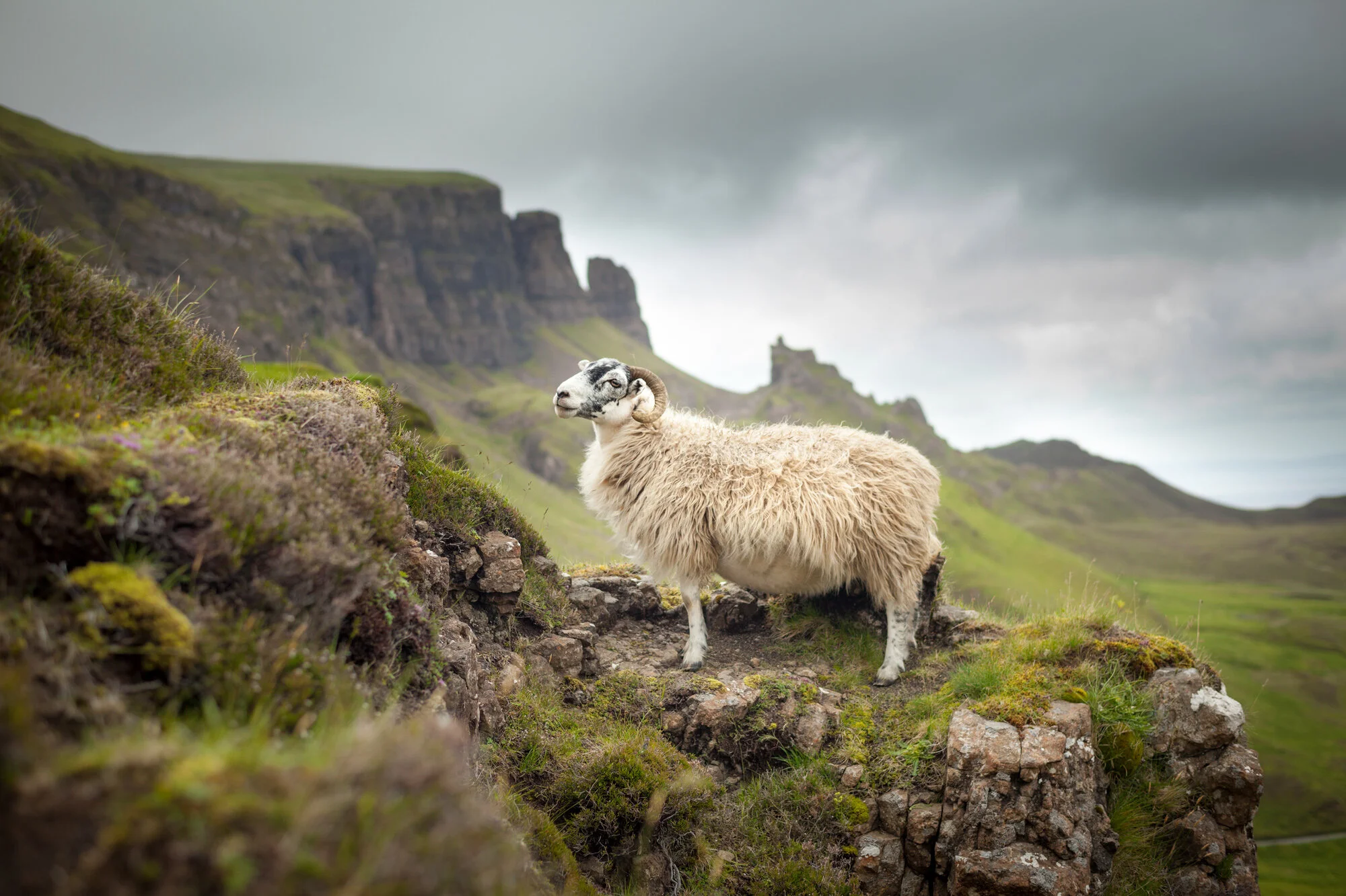 McGrath_Scotland_0409.jpg